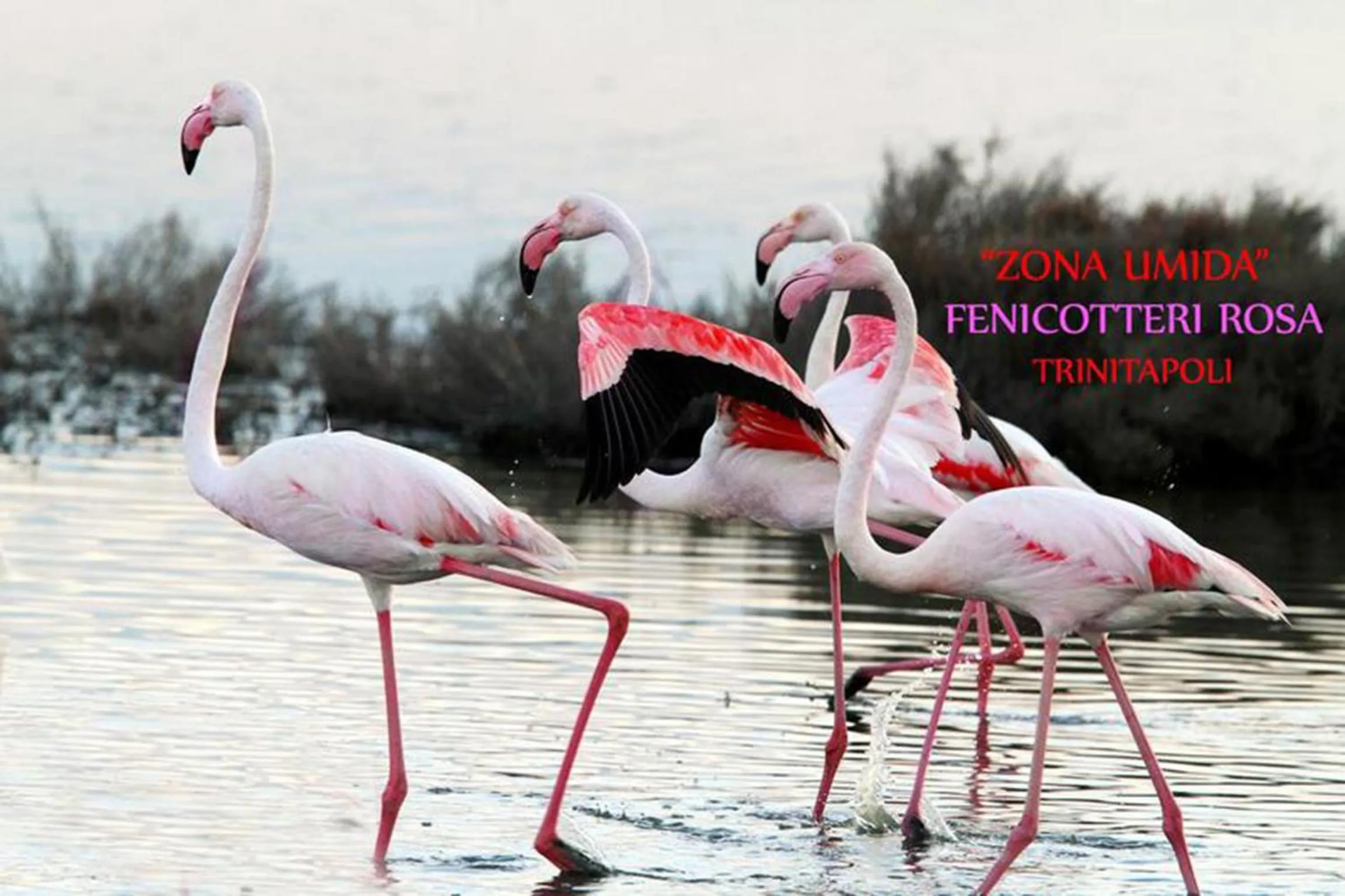 Natural landscape in Hotel Airone