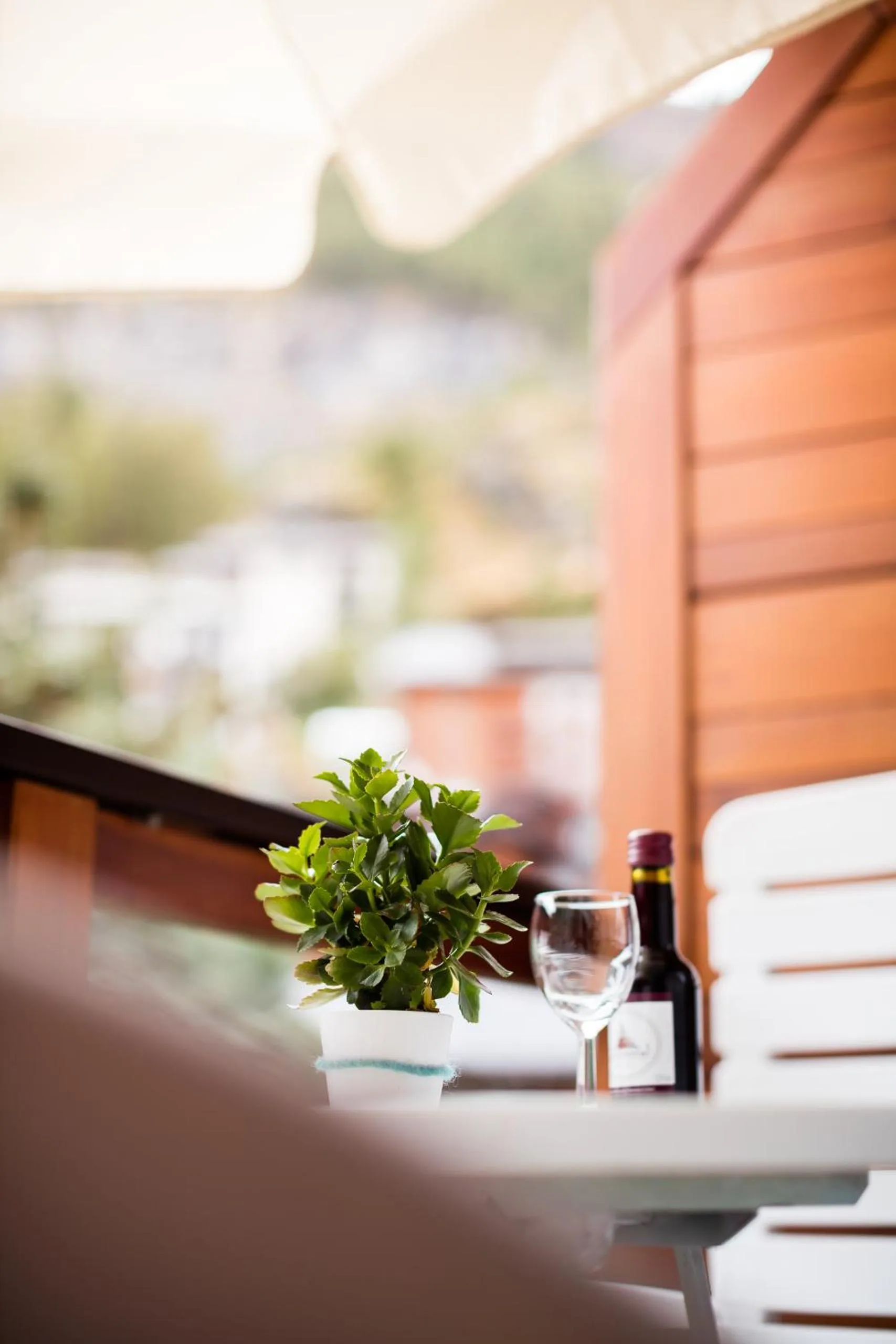 Garden view in Hotel Continental