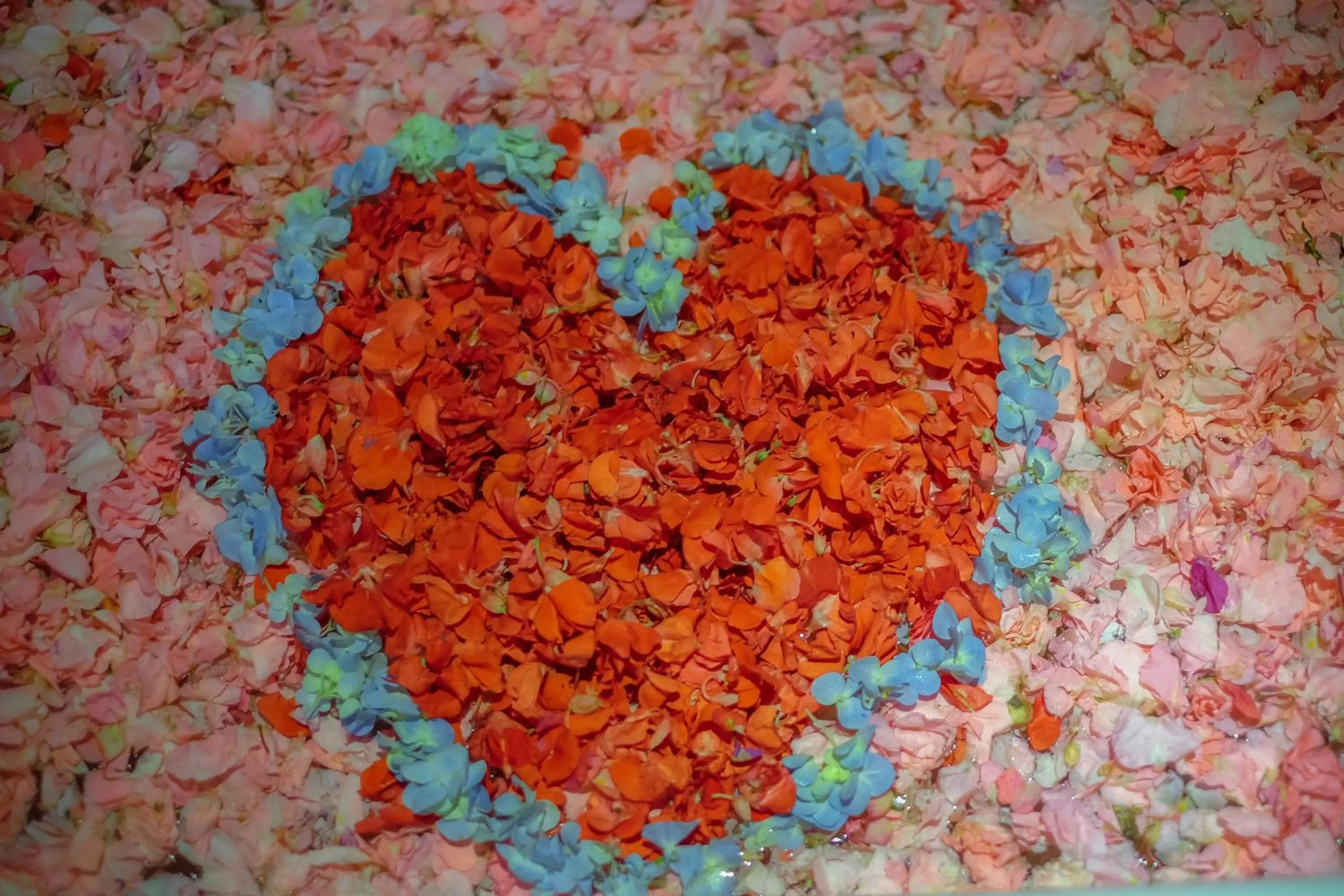 Decorative detail in The Diana Suite