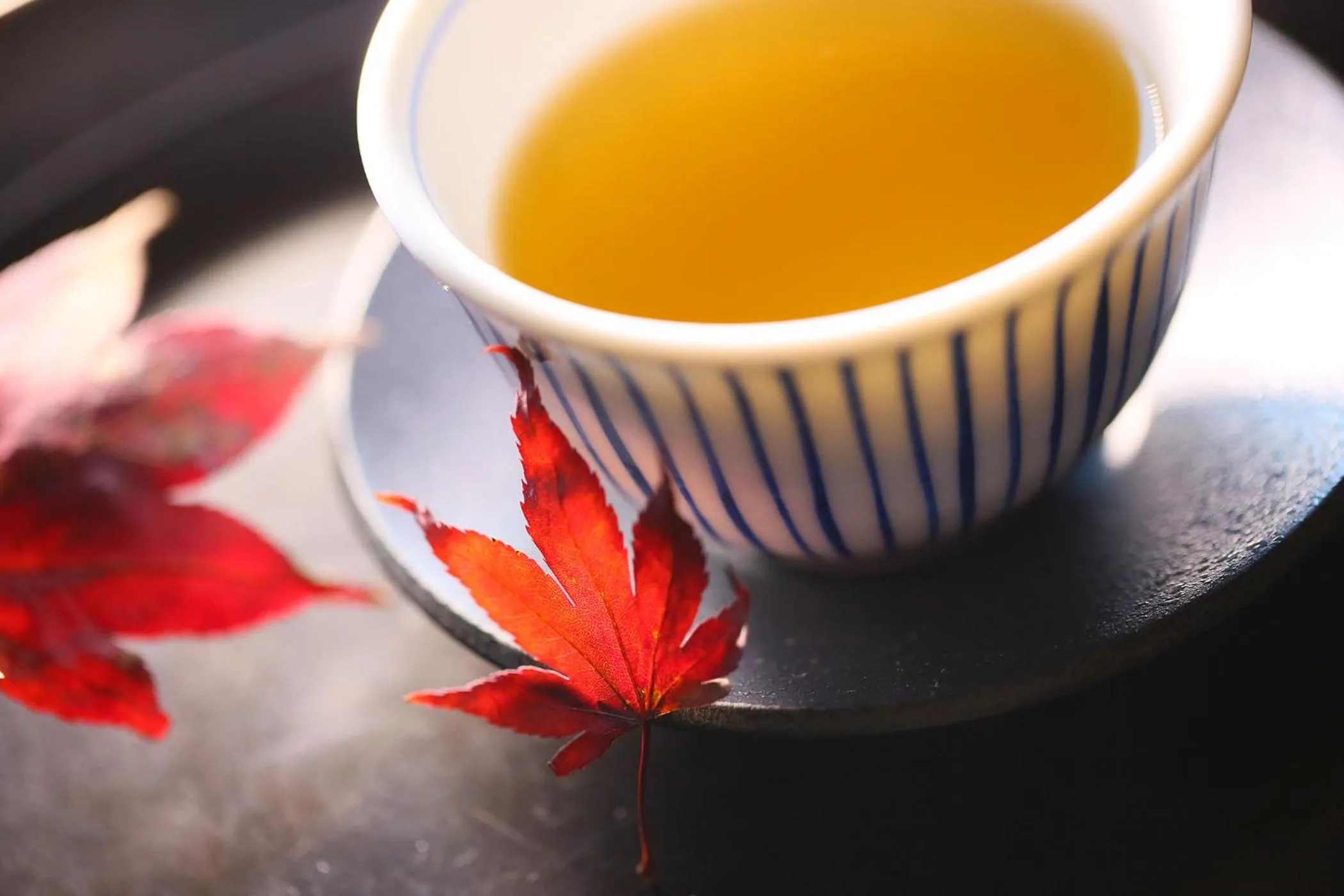 Ooedo Onsen Monogatari Aizu