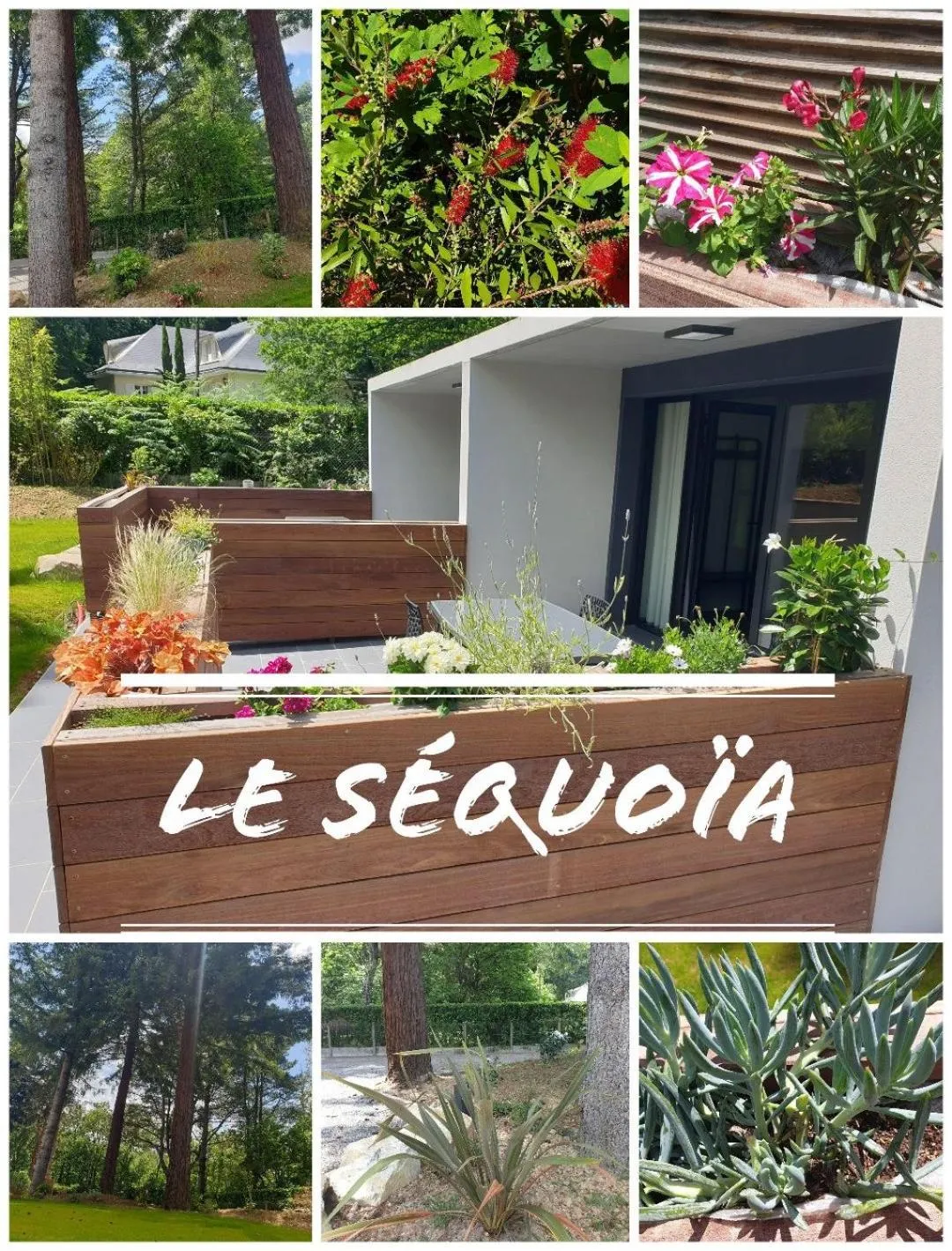 Balcony/Terrace in Le séquoia