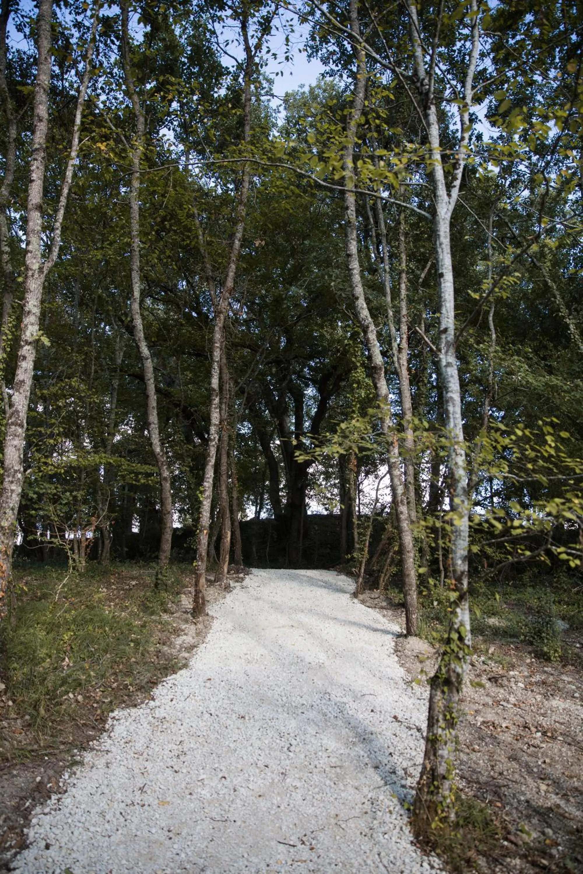 Garden in Chrysalide Saint Martin