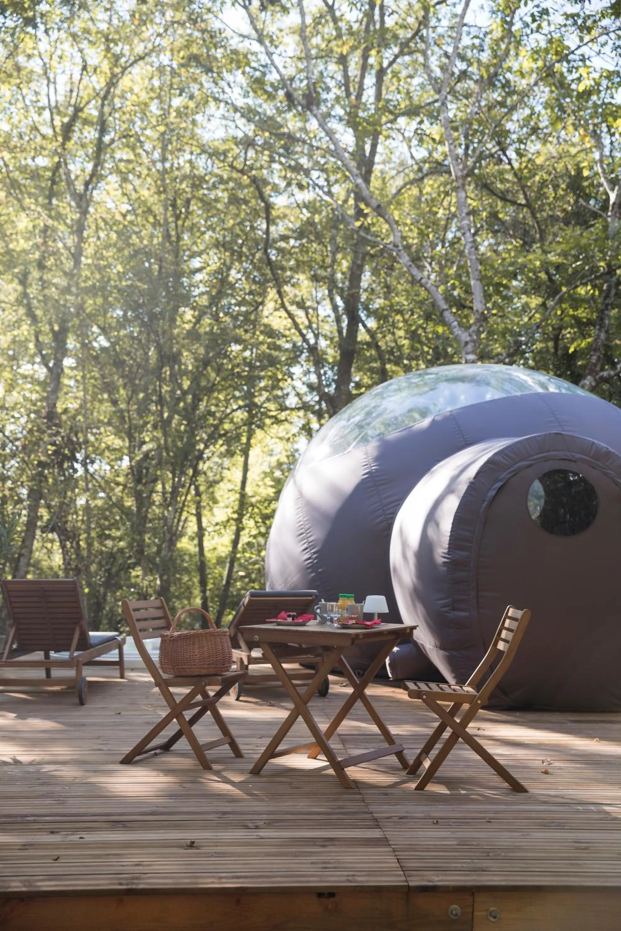 Garden view in Chrysalide Saint Martin