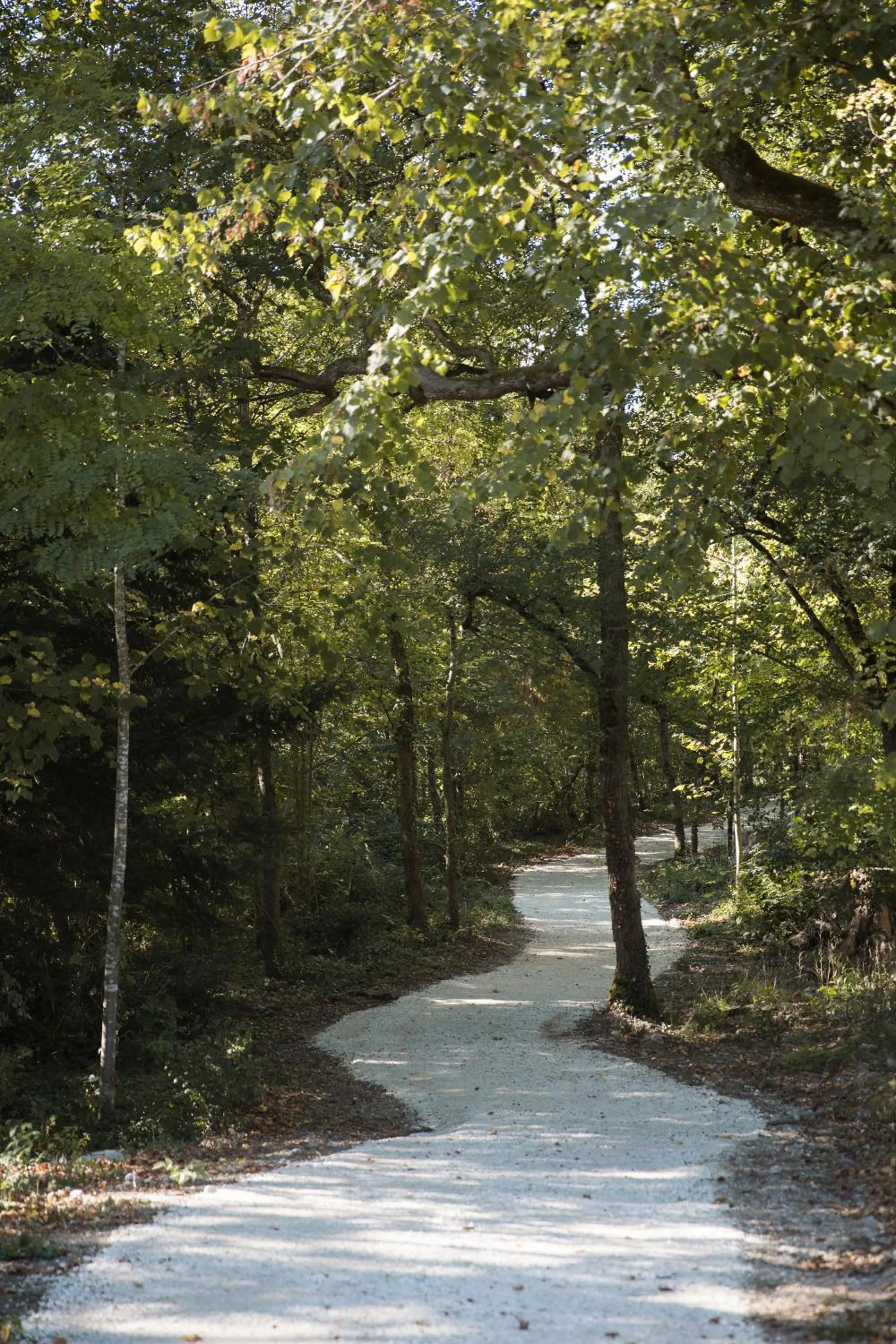 Garden in Chrysalide Saint Martin