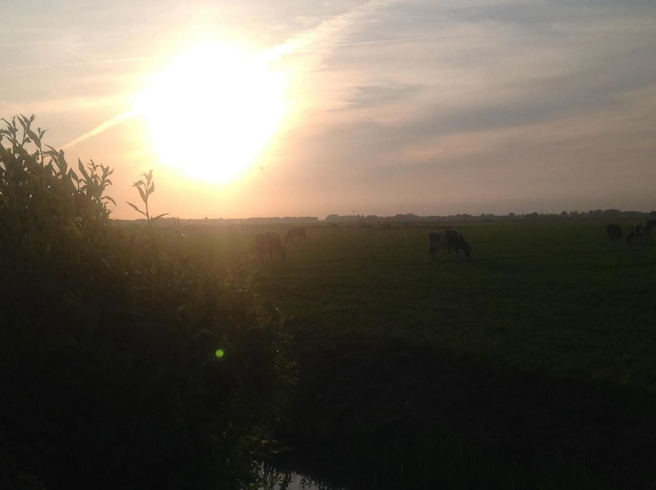 Natural landscape in Chalet Ben in Broek