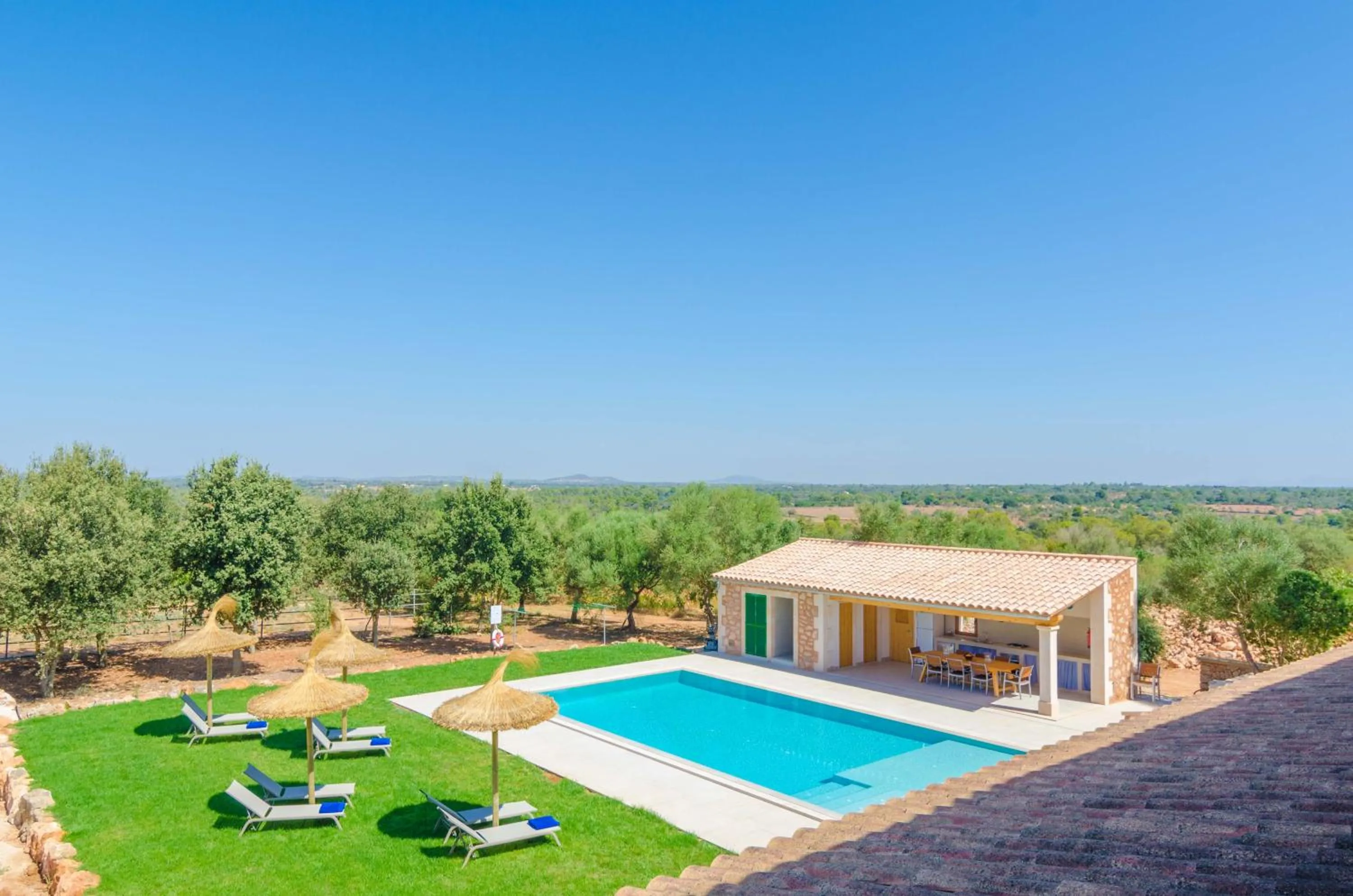 Swimming pool in Son Fadri