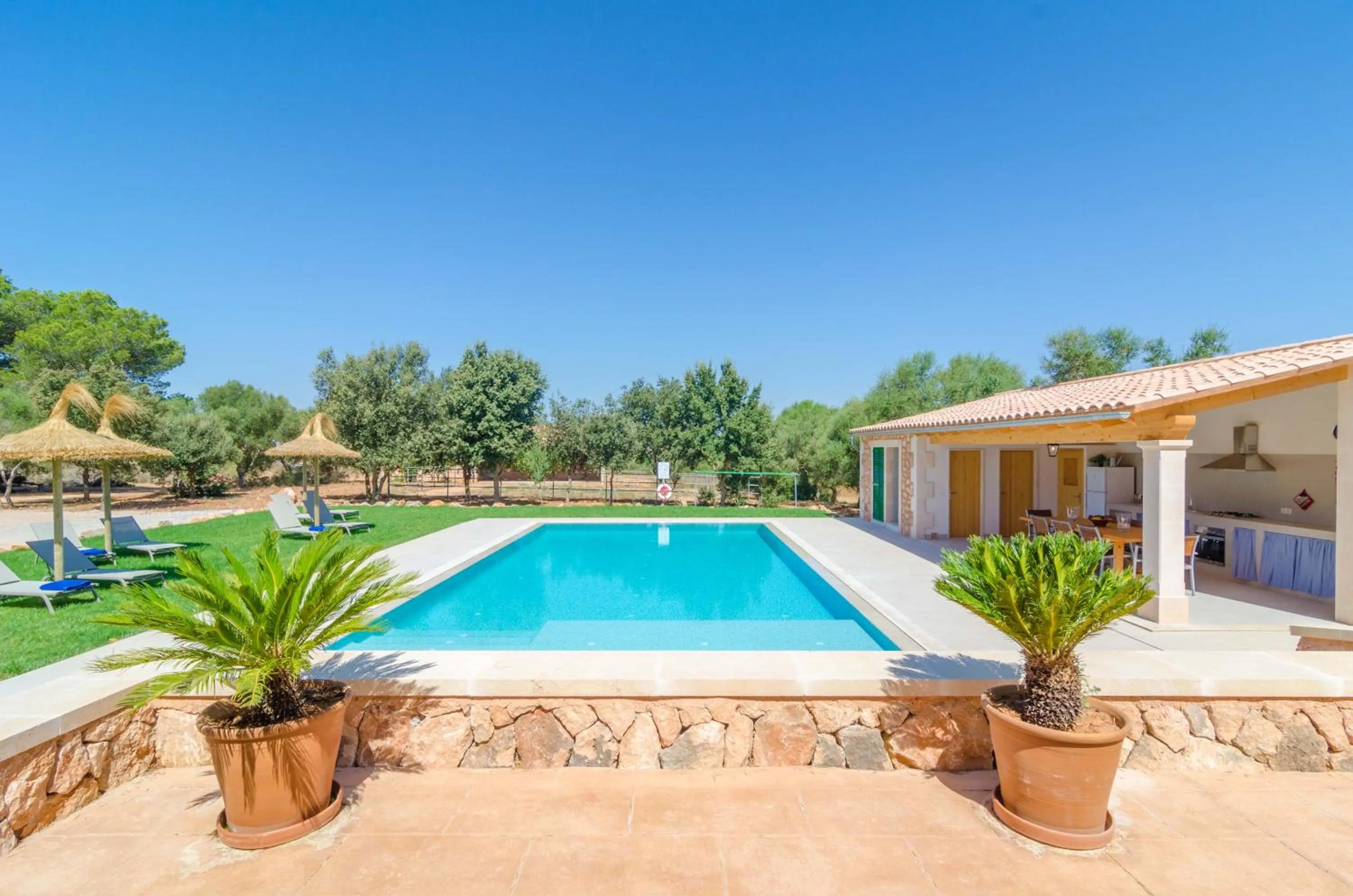 Swimming pool in Son Fadri