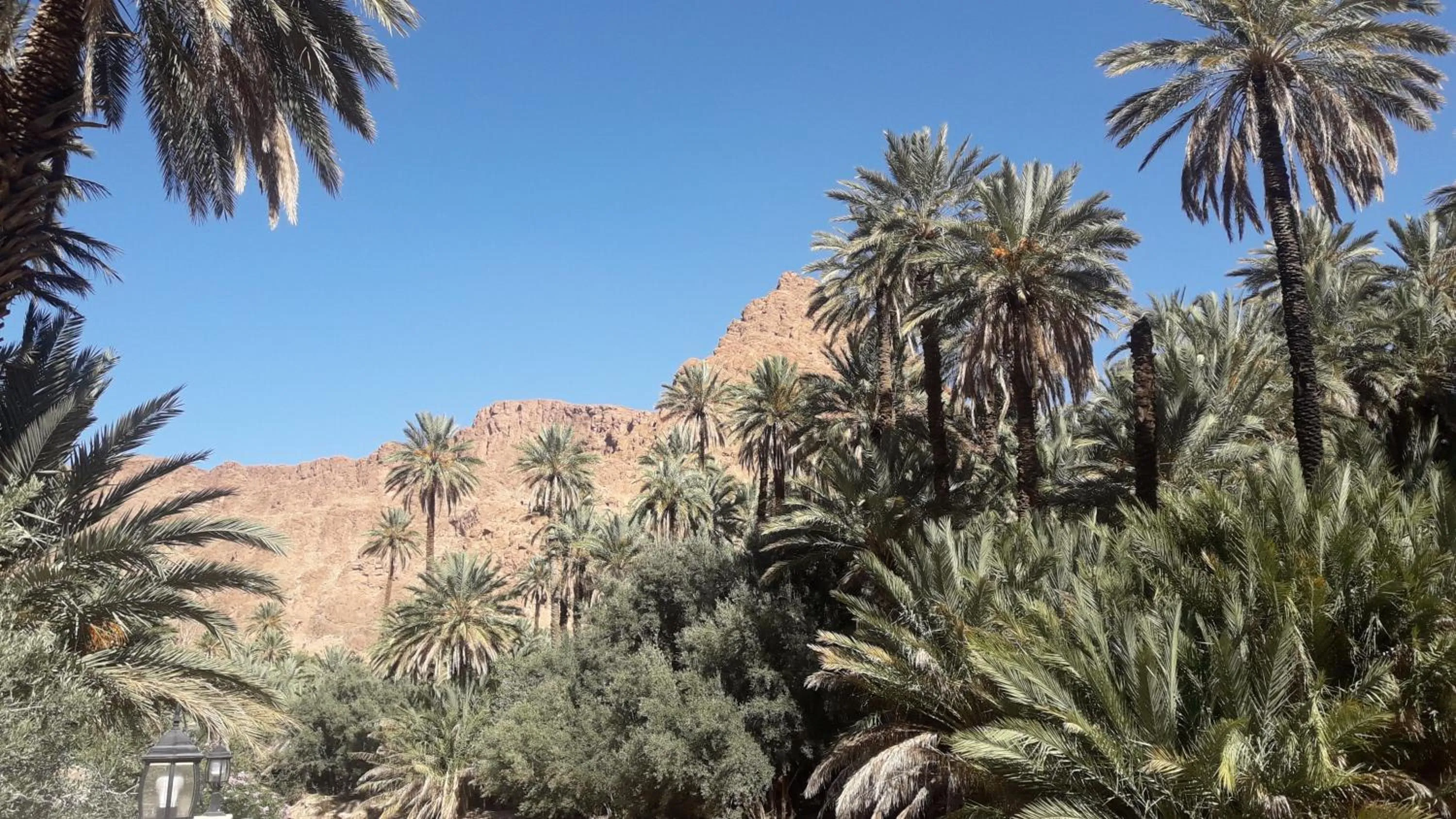 Natural landscape in RIAD Camping ATLAS
