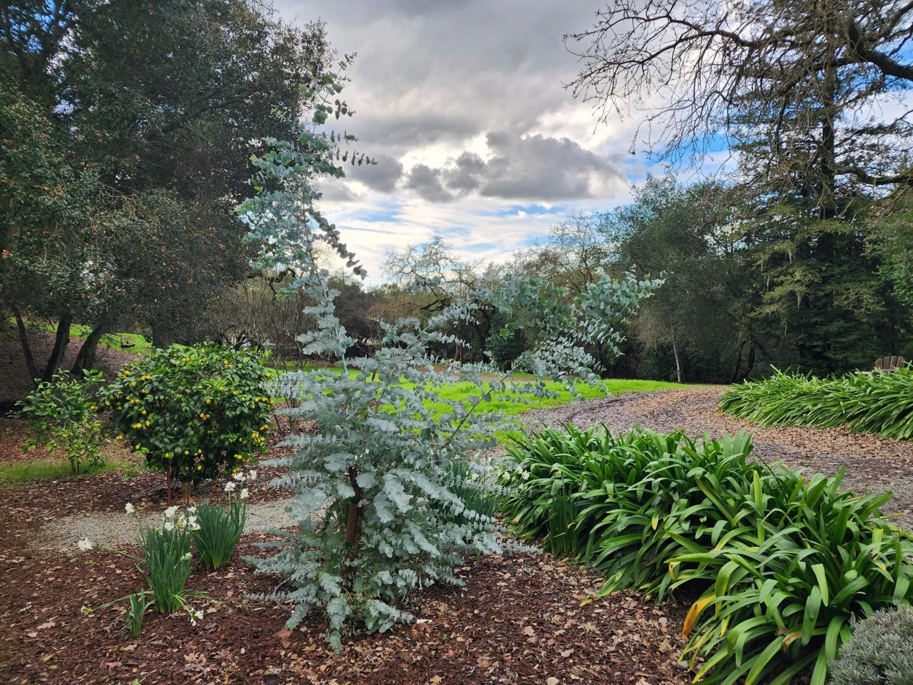 Natural landscape in Amitabha Wine Country Cottage