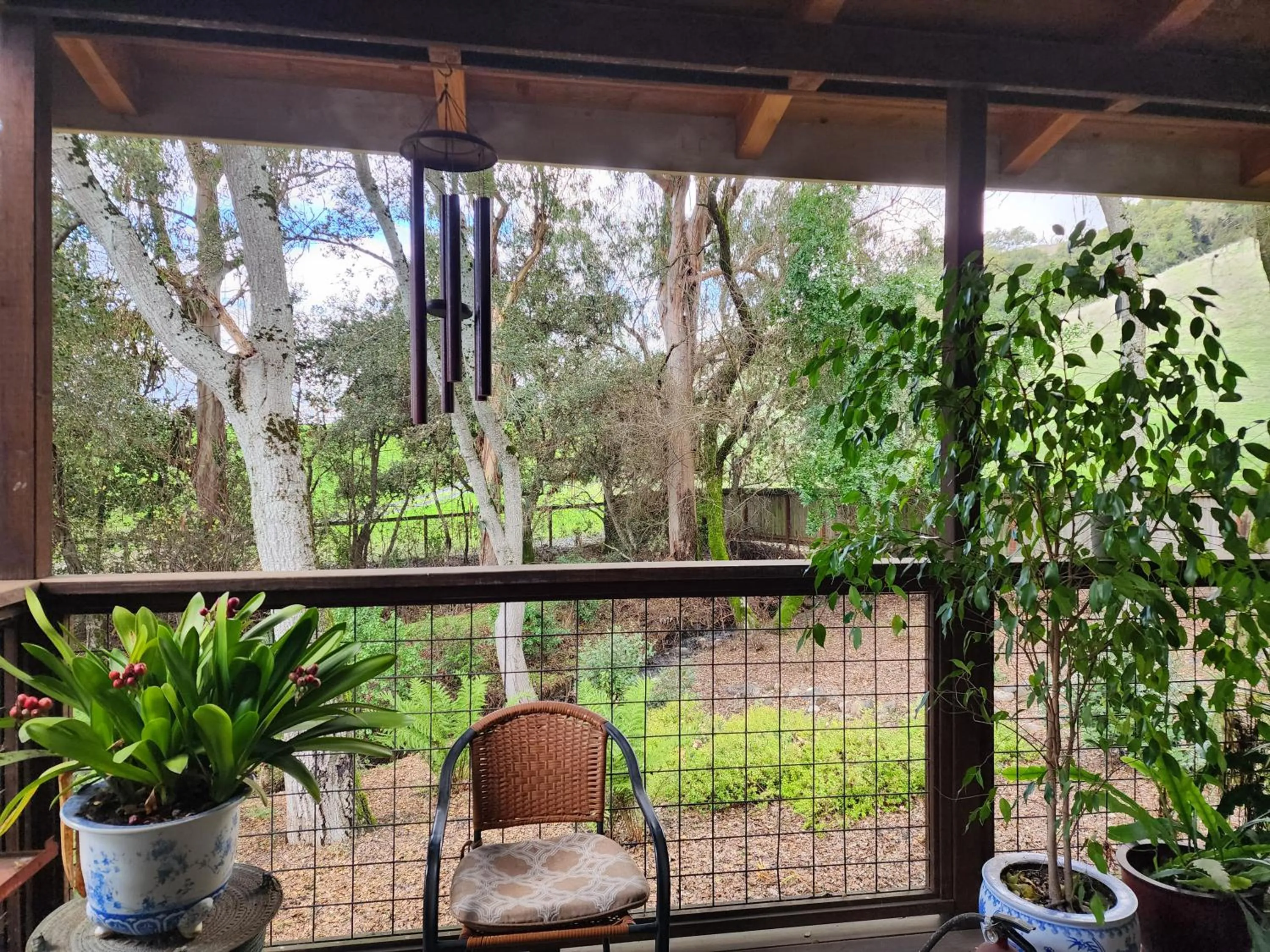 Balcony/Terrace in Amitabha Wine Country Cottage