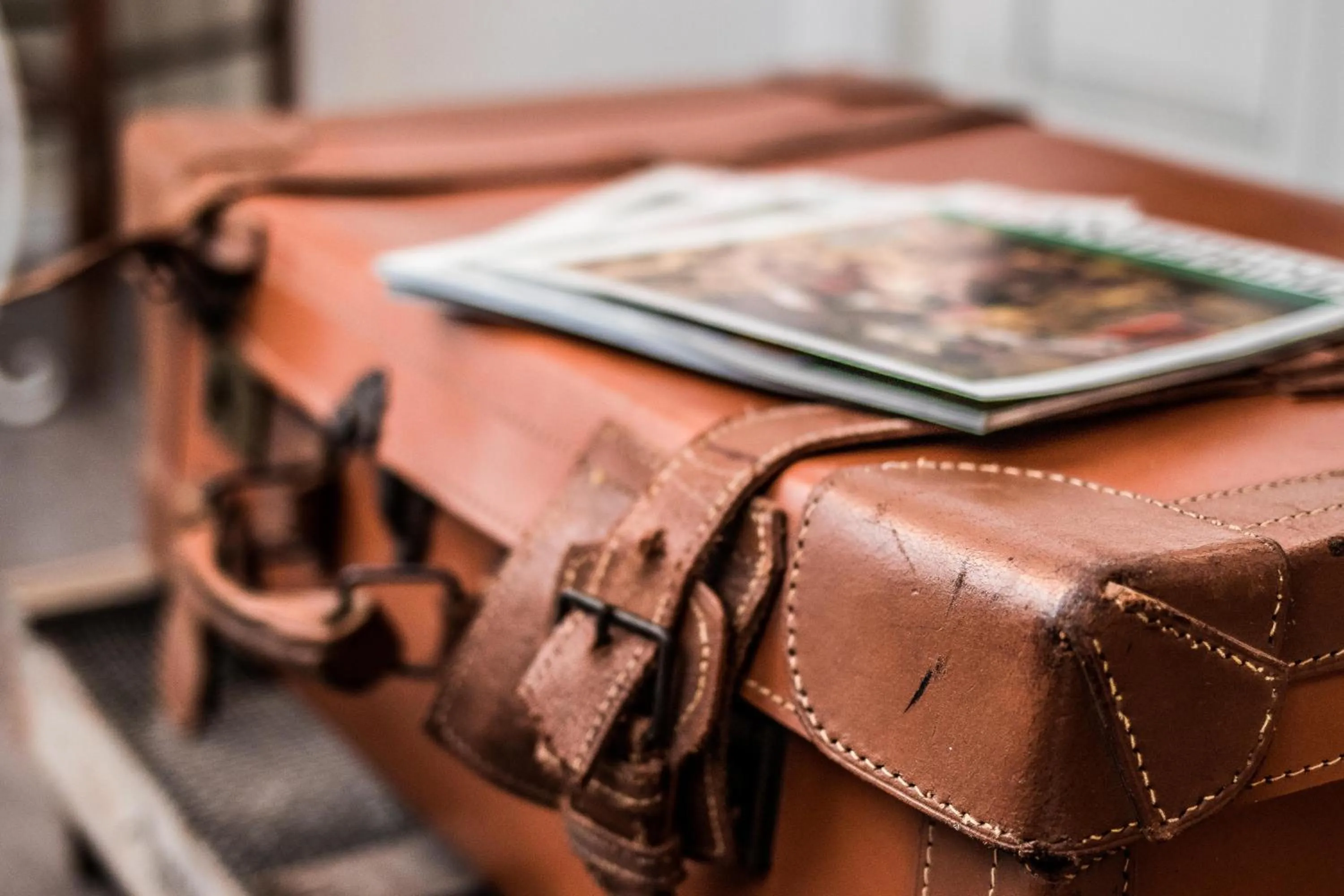 Decorative detail in Bozzi 1910