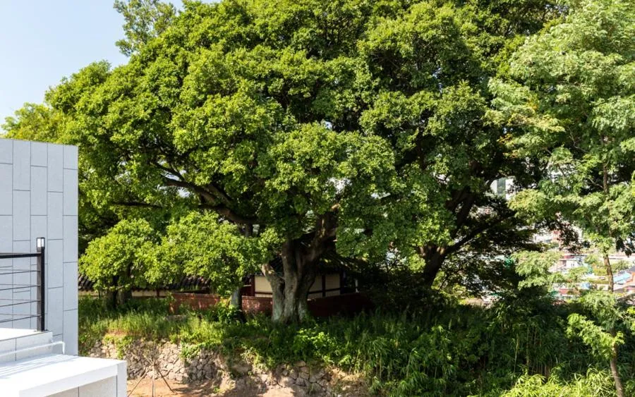 Neighbourhood in Onda D'oro Hostel