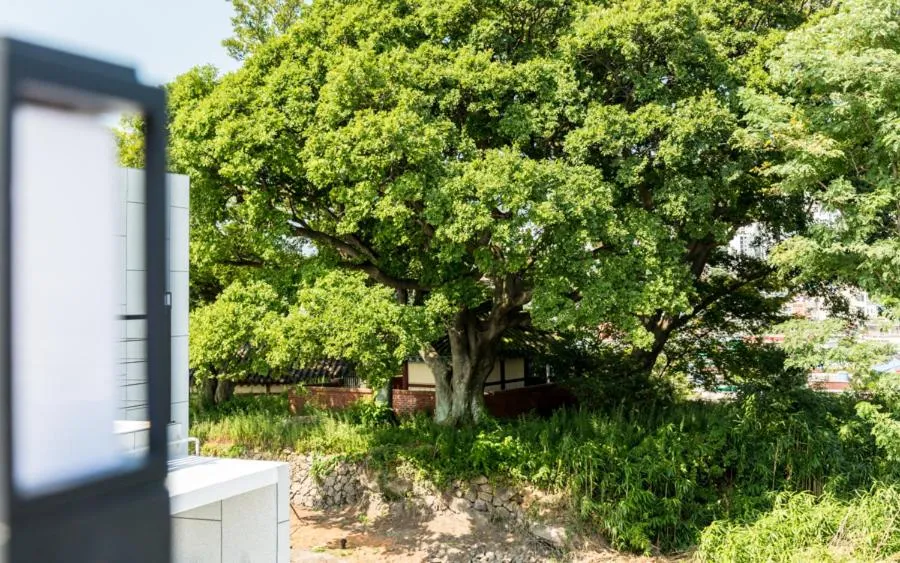 Other in Onda D'oro Hostel