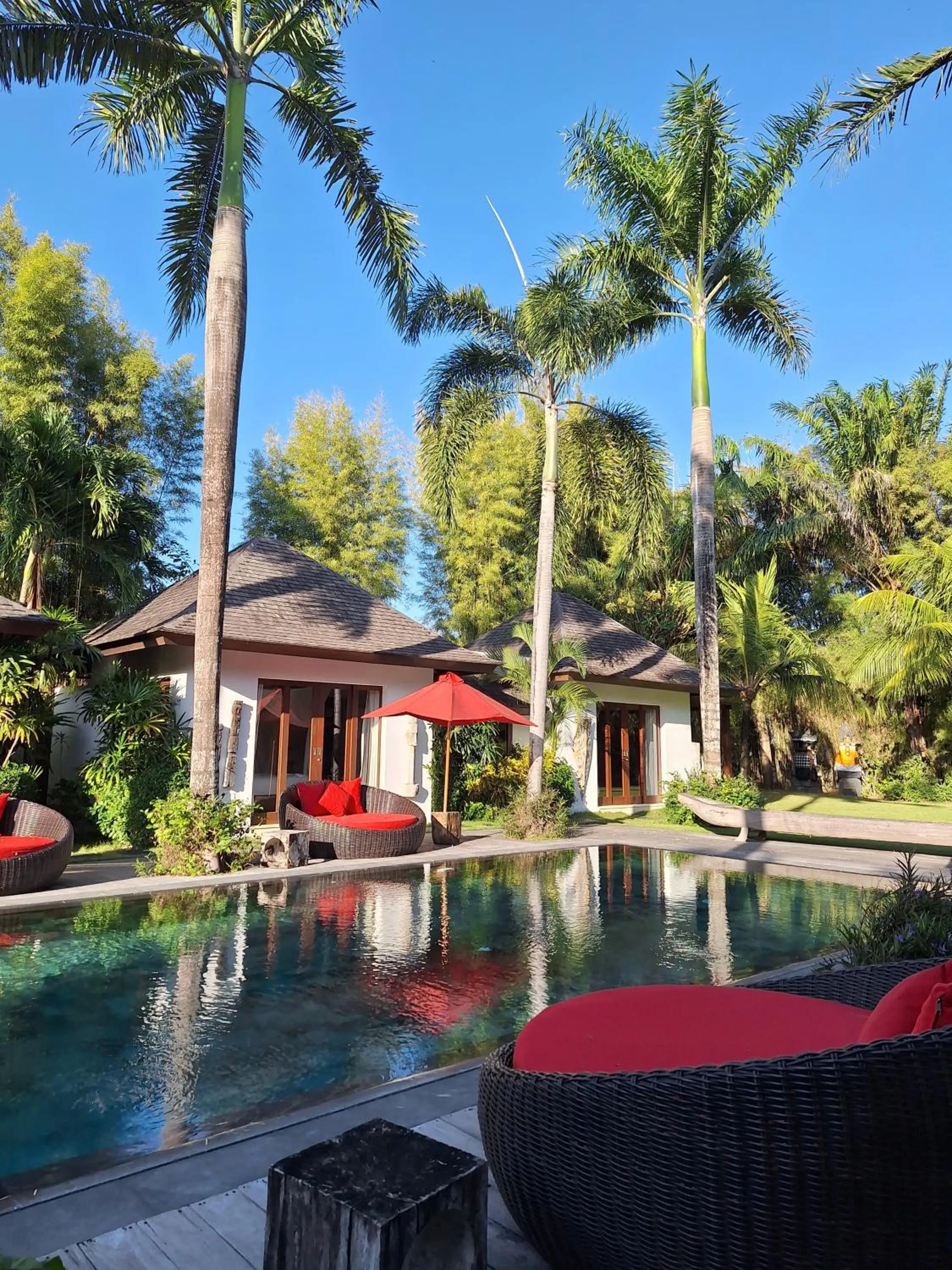 Swimming pool in Villa Naty Canggu - 6 Bedrooms Luxury Villa