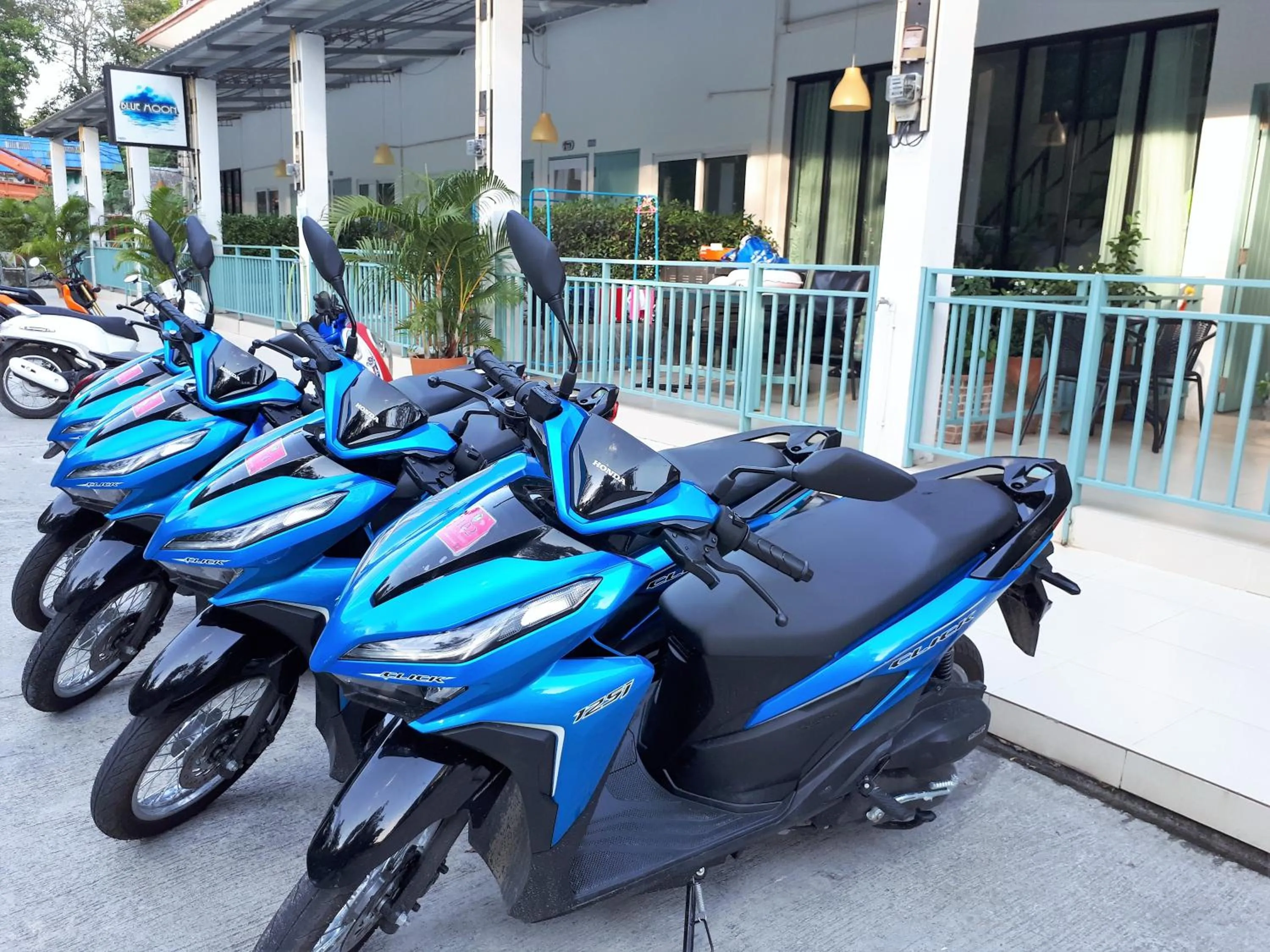 Day in Blue Moon Samed