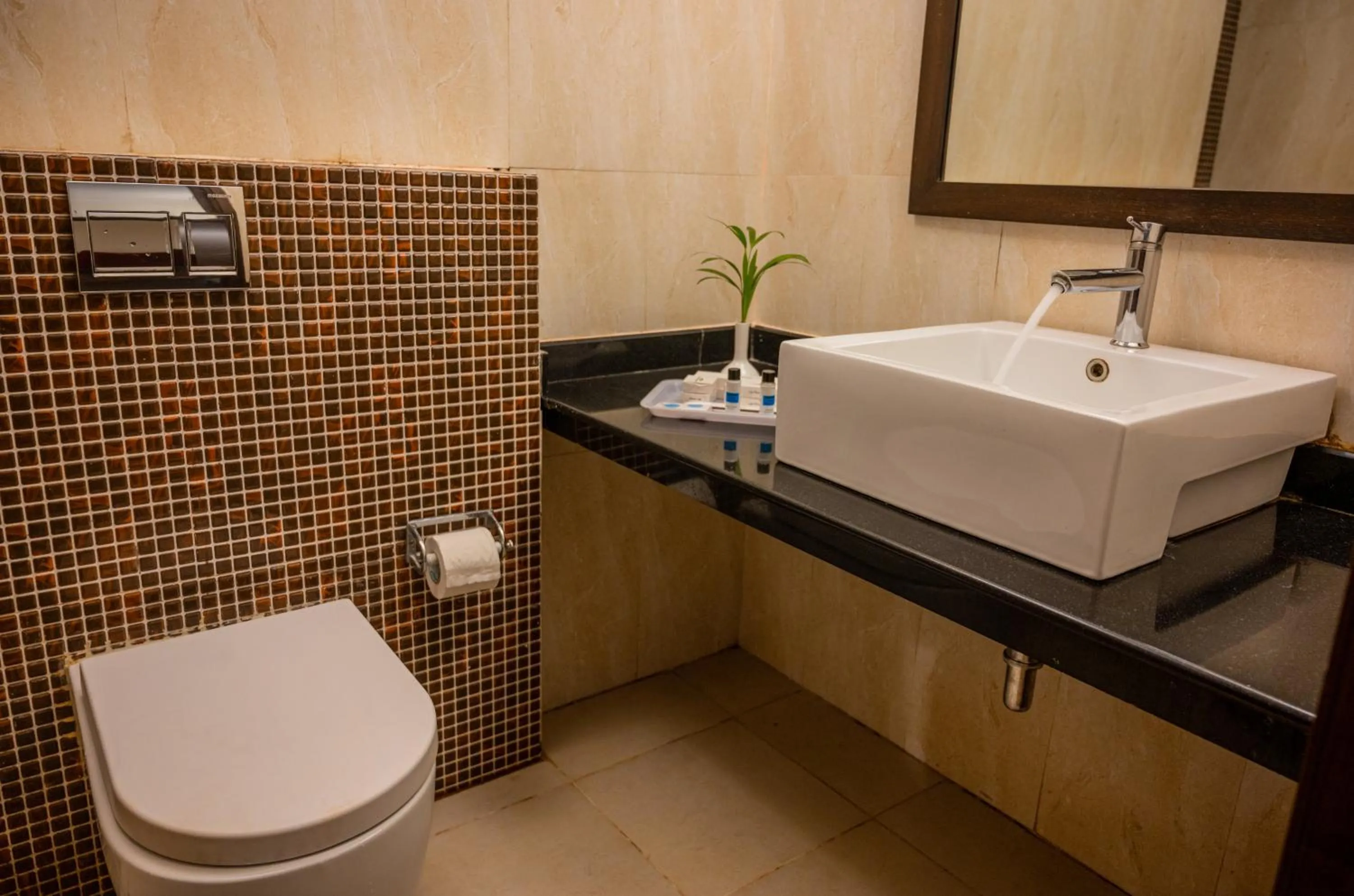 Toilet in La Oasis by Meraden ,Goa