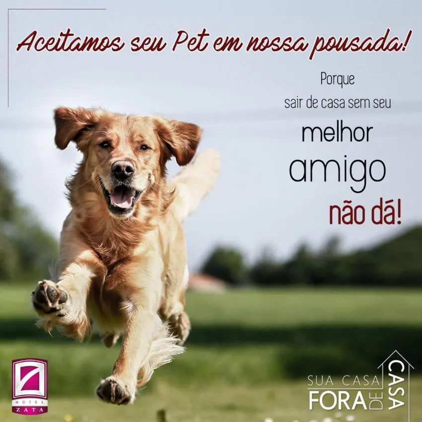 Pets in Hotel Zata - Econômico