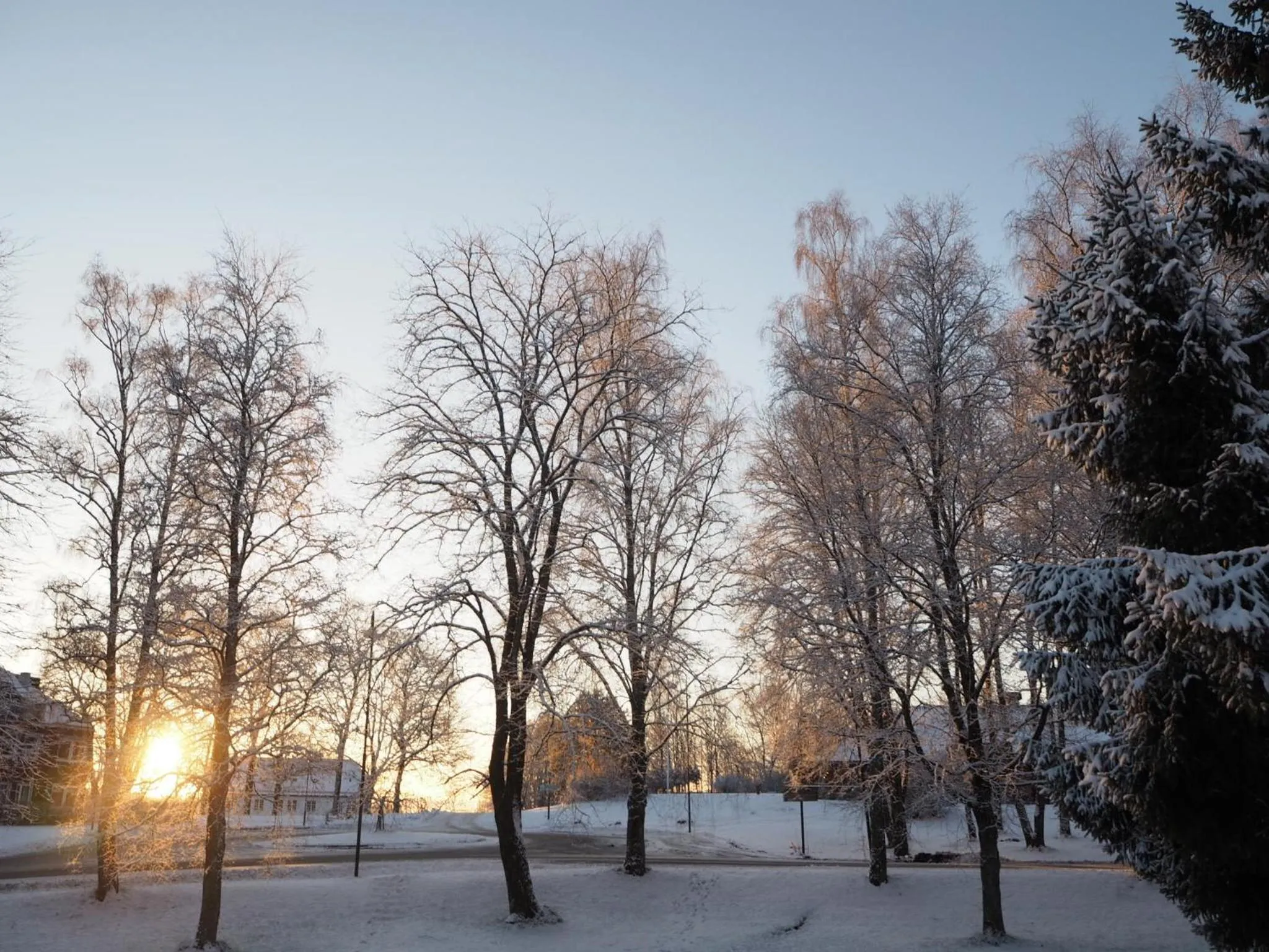 Garden view in Emma Gjestehus