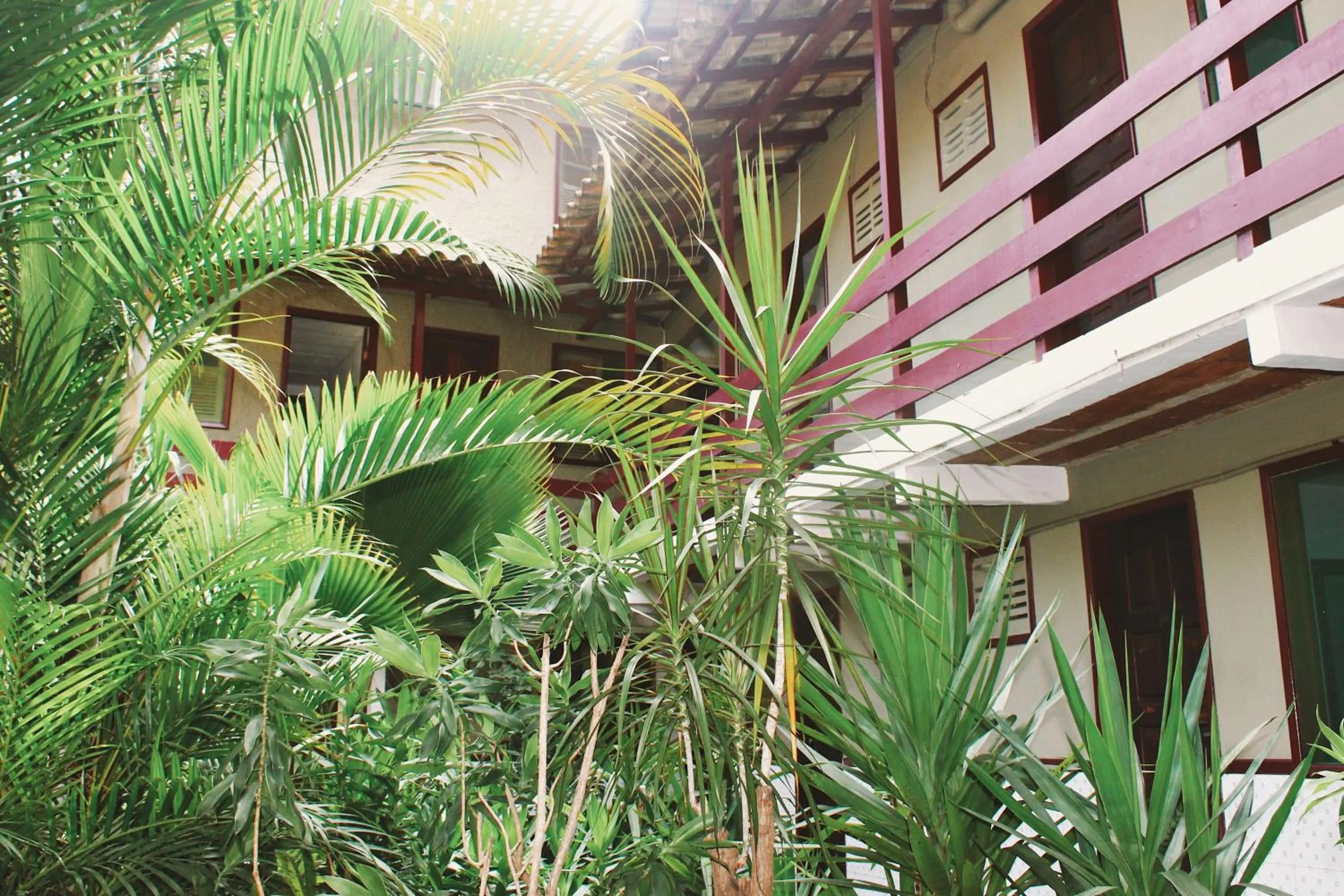 Garden in Hotel Pousada Del Rey