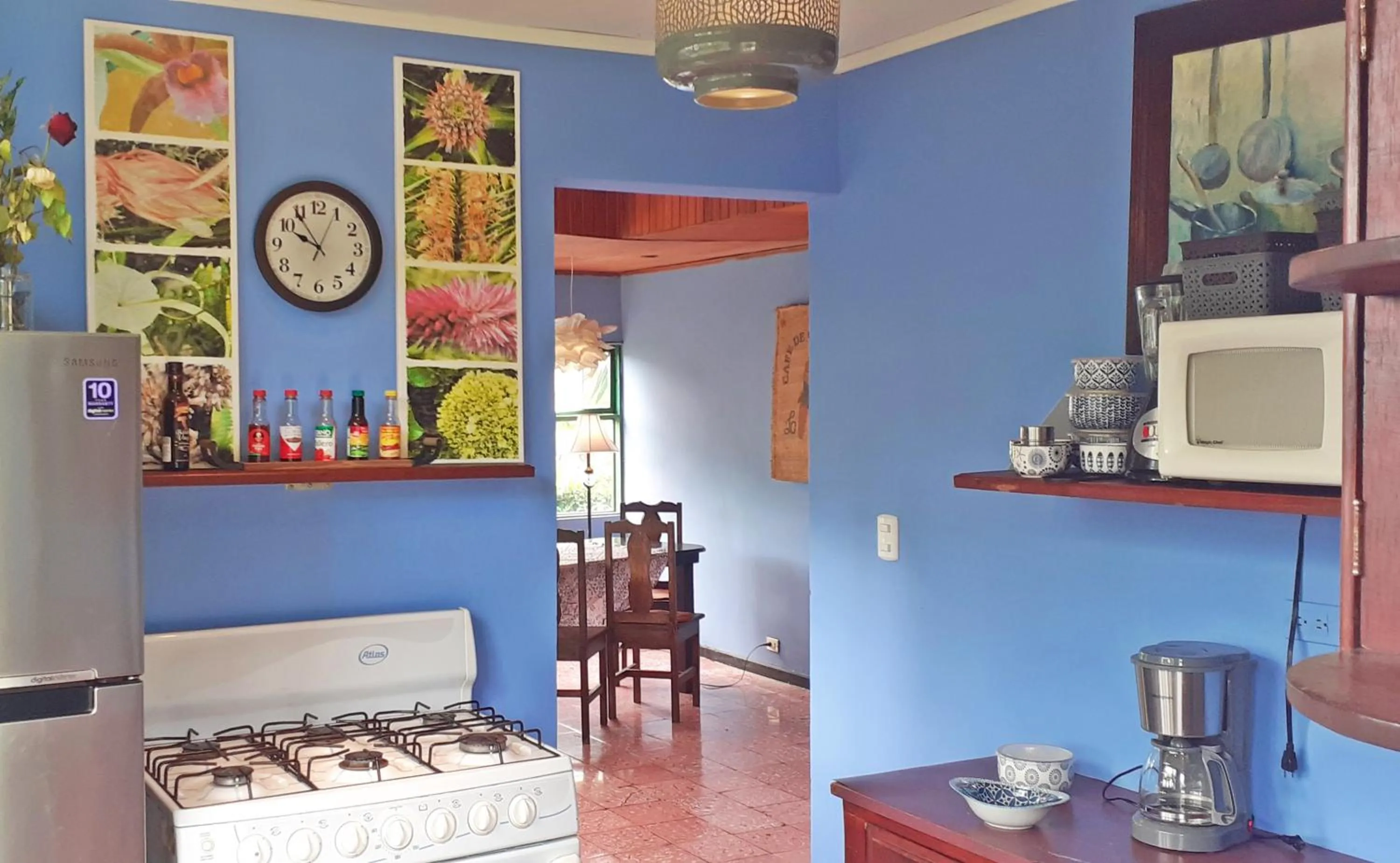 Kitchen or kitchenette in Montaña Linda Guest House Orosi