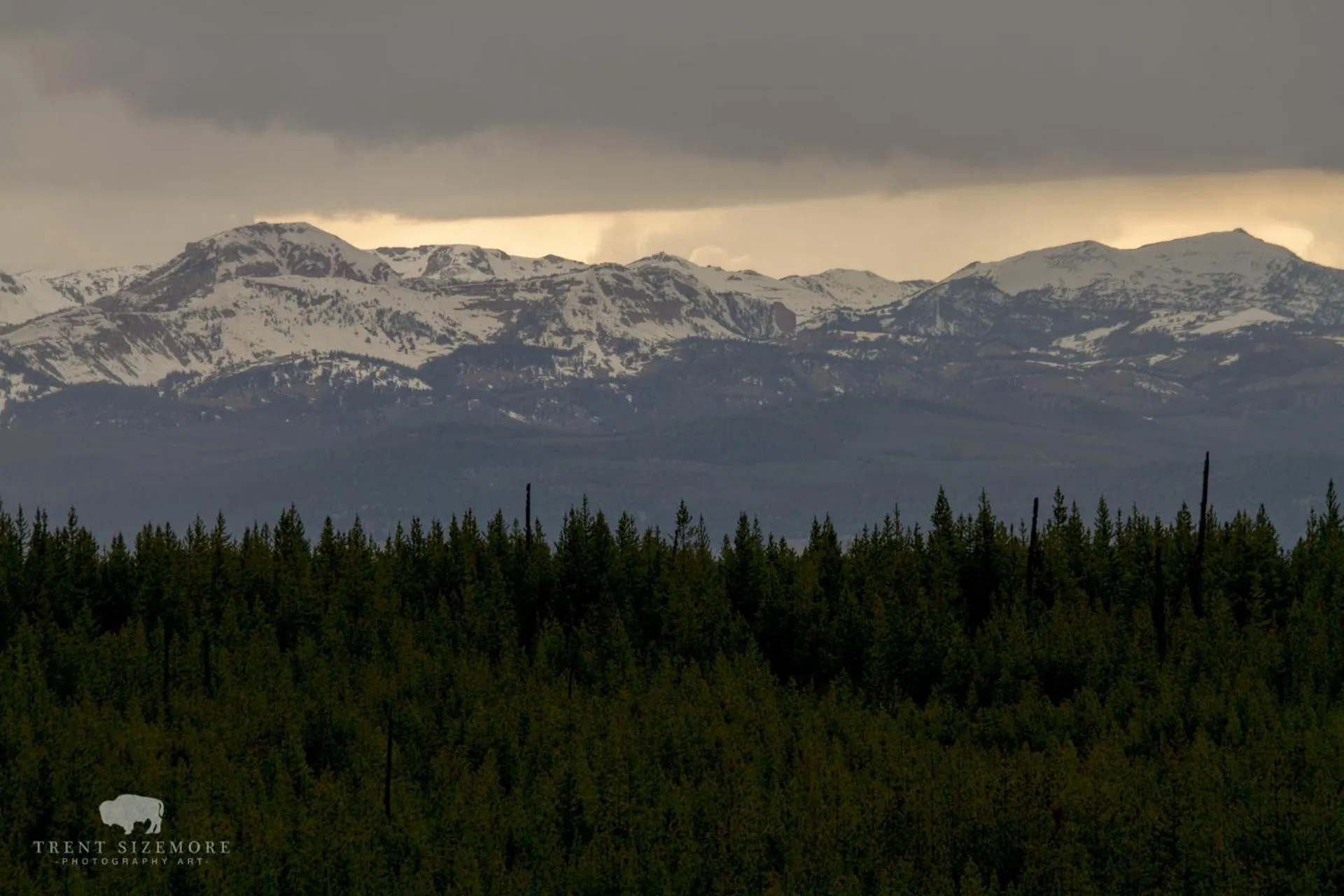 Natural landscape in Faithful Street Inn
