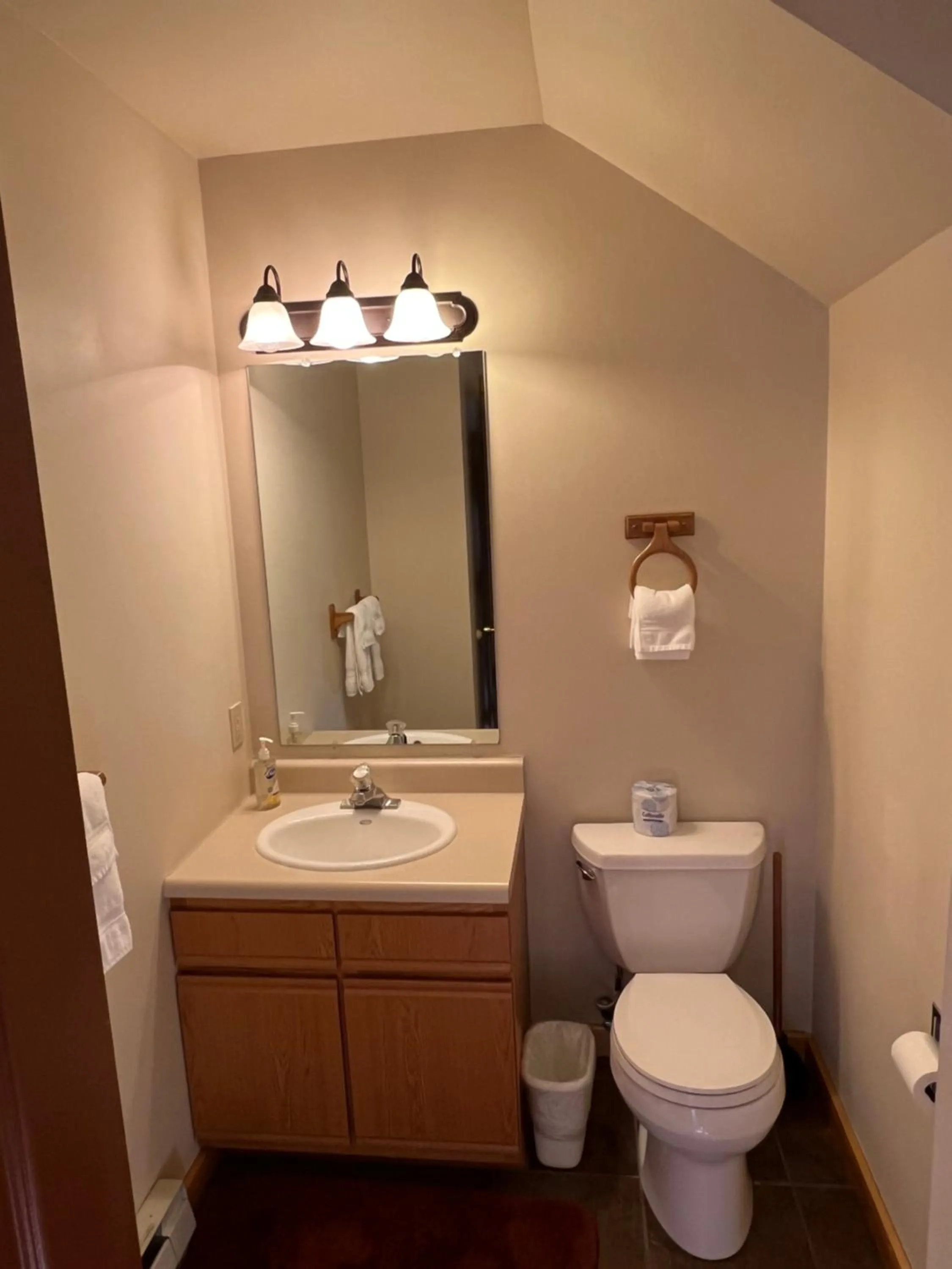 Toilet in Faithful Street Inn