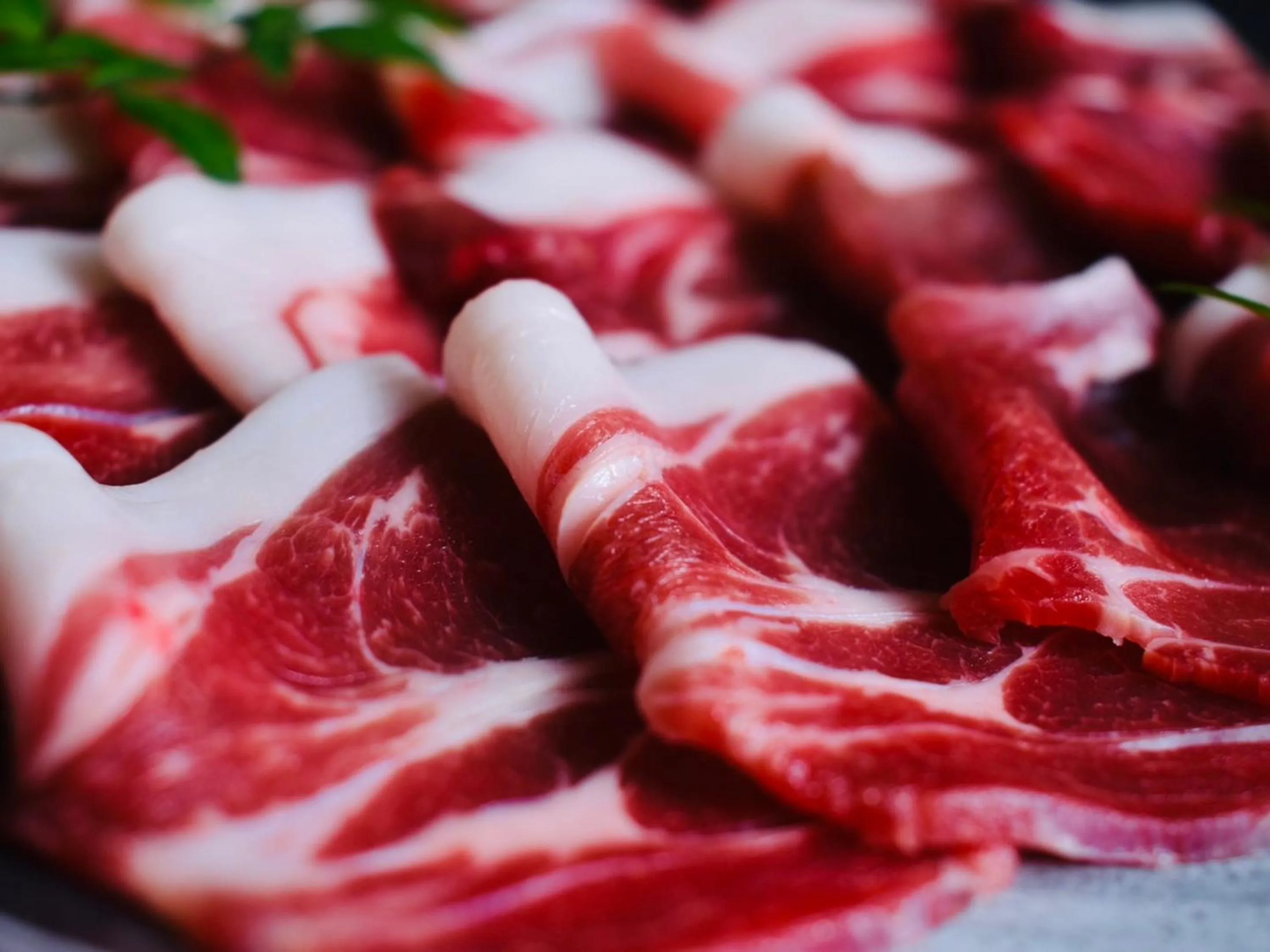 Dinner in Shiroyama Ryokan