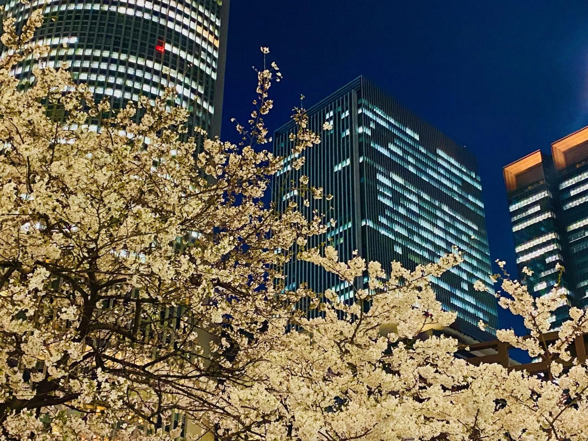 Property building in Nagoya JR Gate Tower Hotel