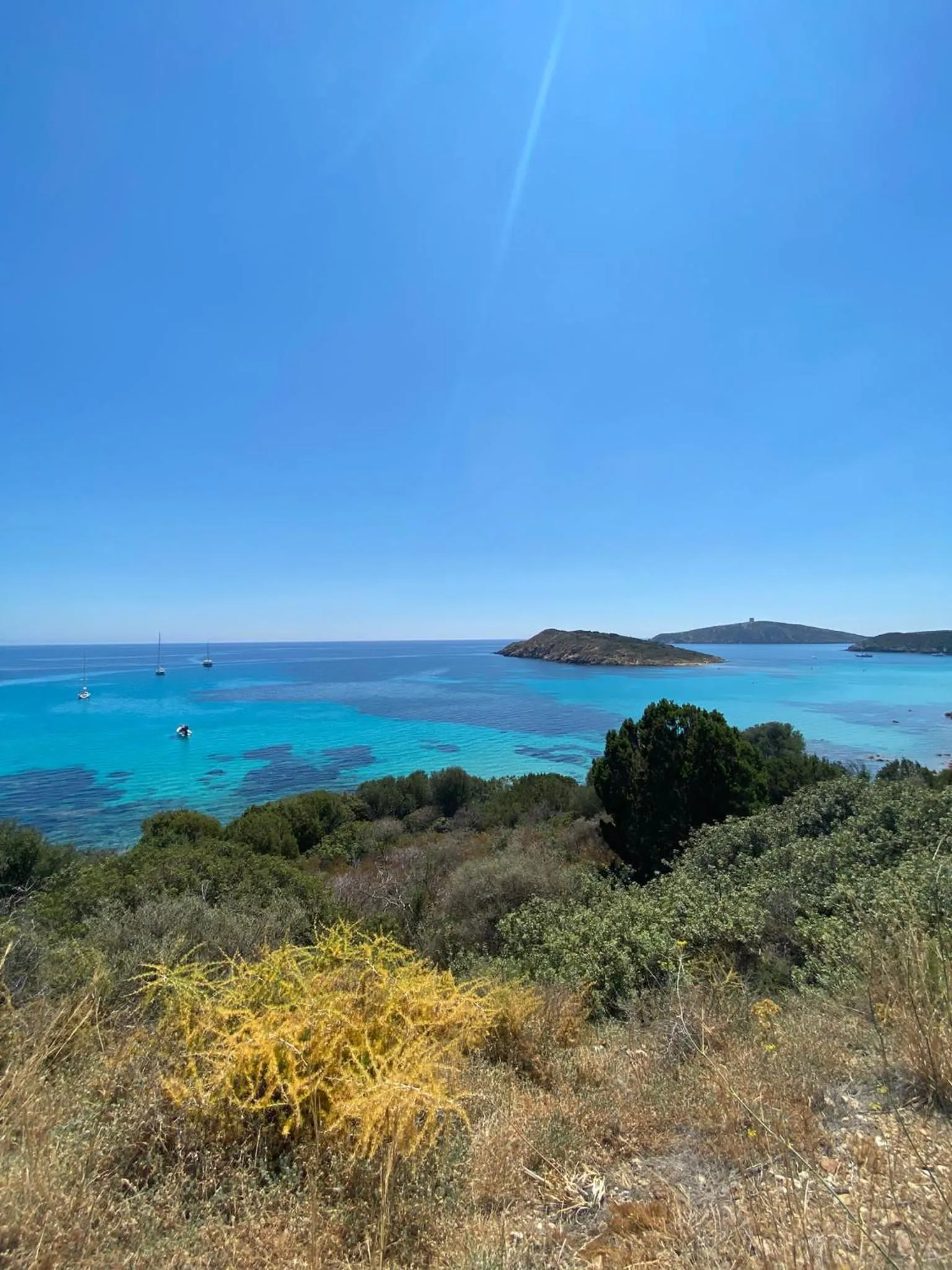 Natural landscape in B&B Su Tostainu