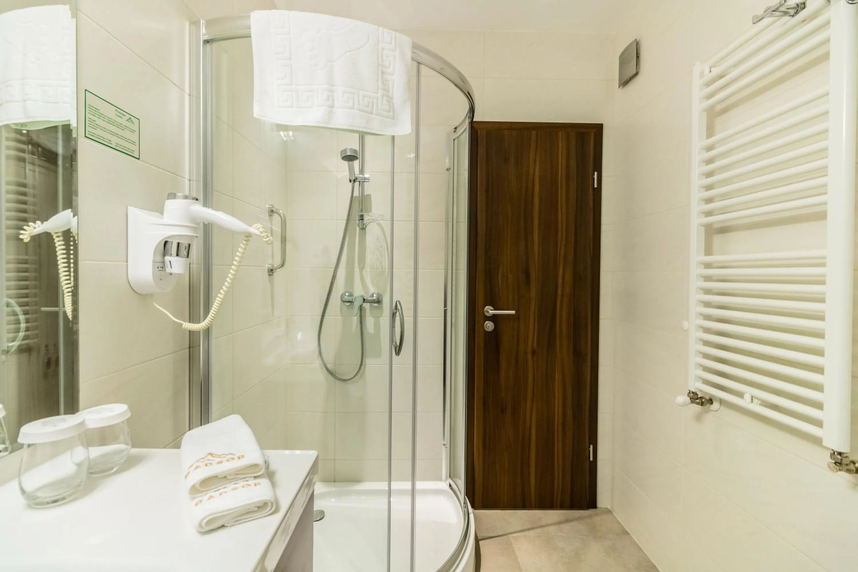 Shower in Radsor Hotel