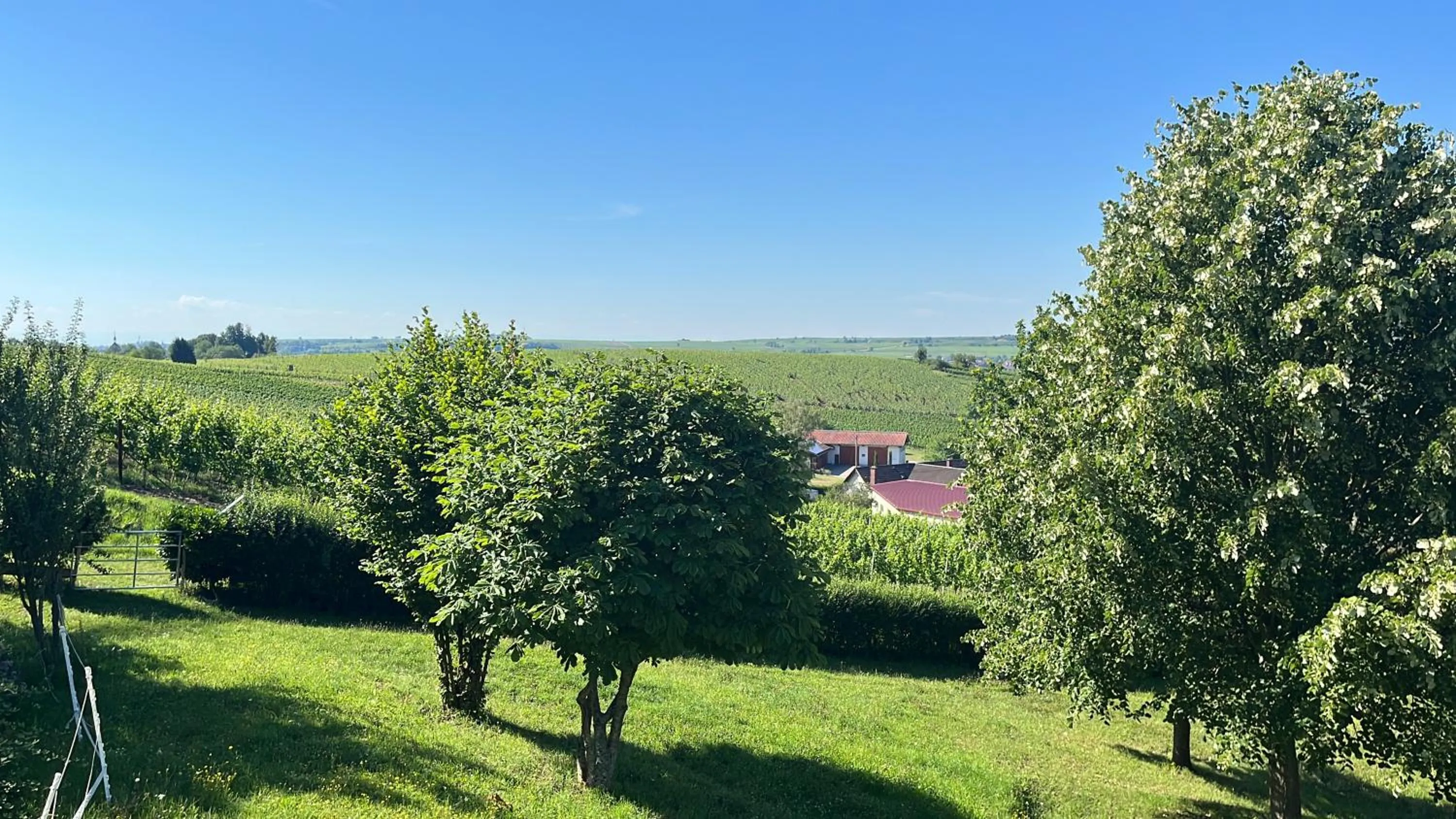 Garden in Hotel Berghof