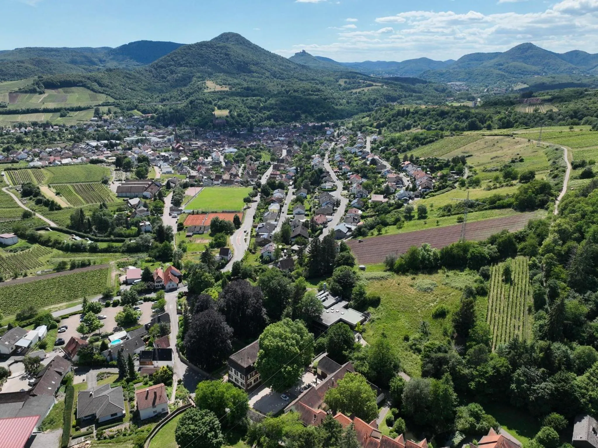 Natural landscape in Hotel Berghof