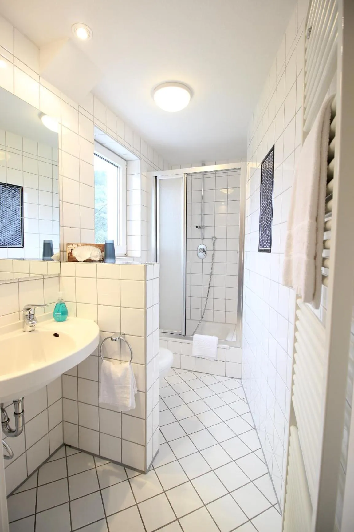 Bathroom in Hotel Berghof