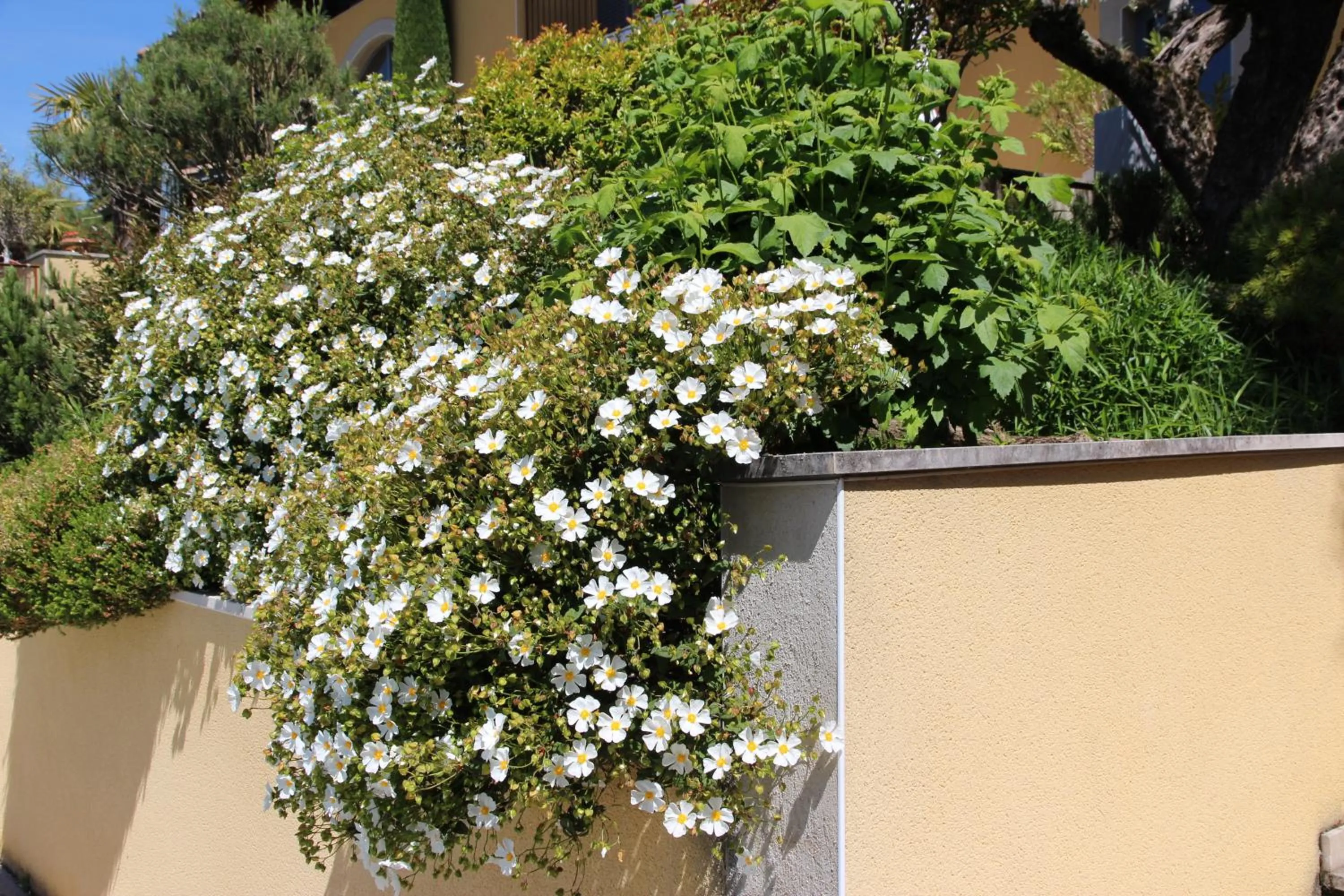 Decorative detail in Le Vallon de Saint André