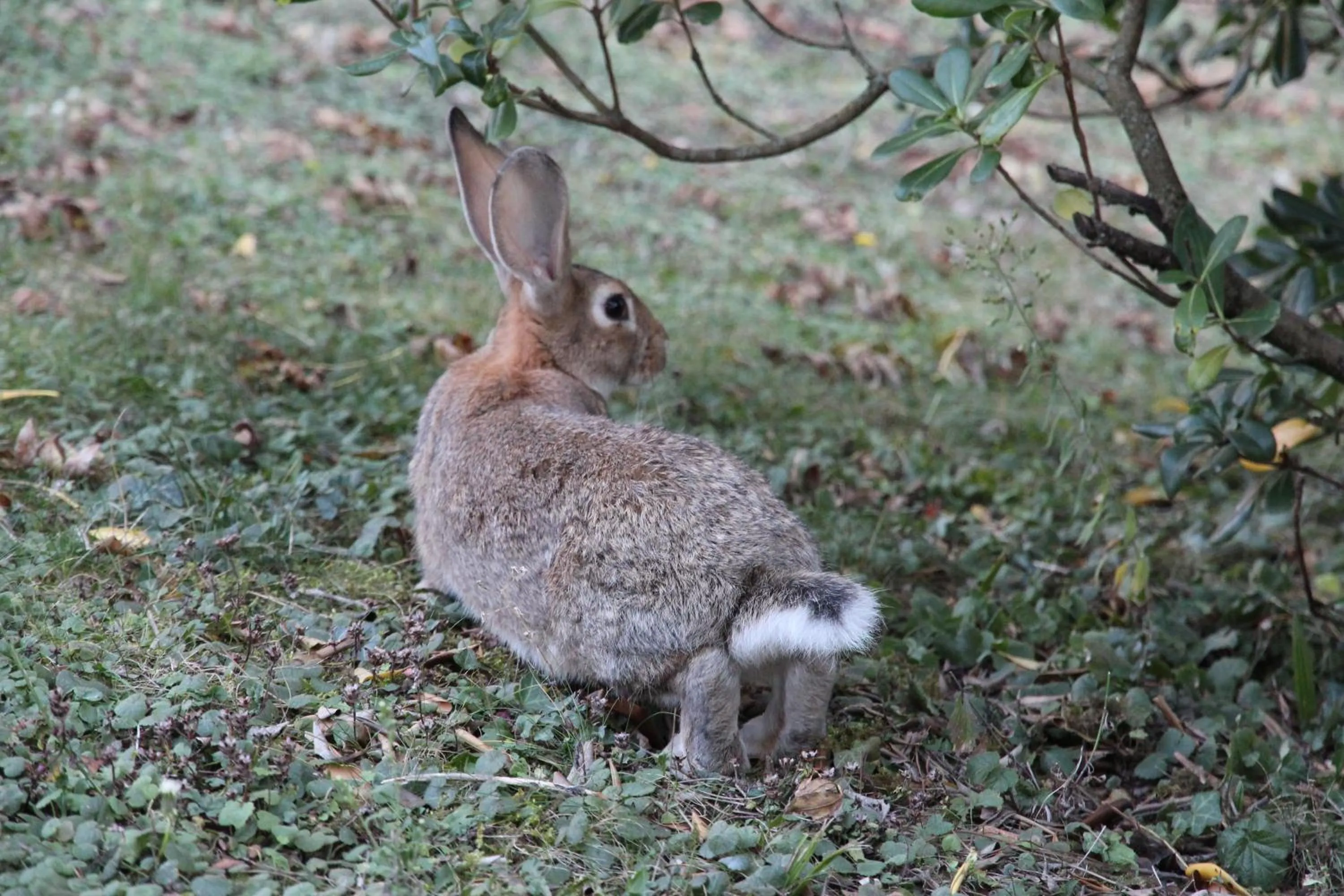 Other in Le Vallon de Saint André