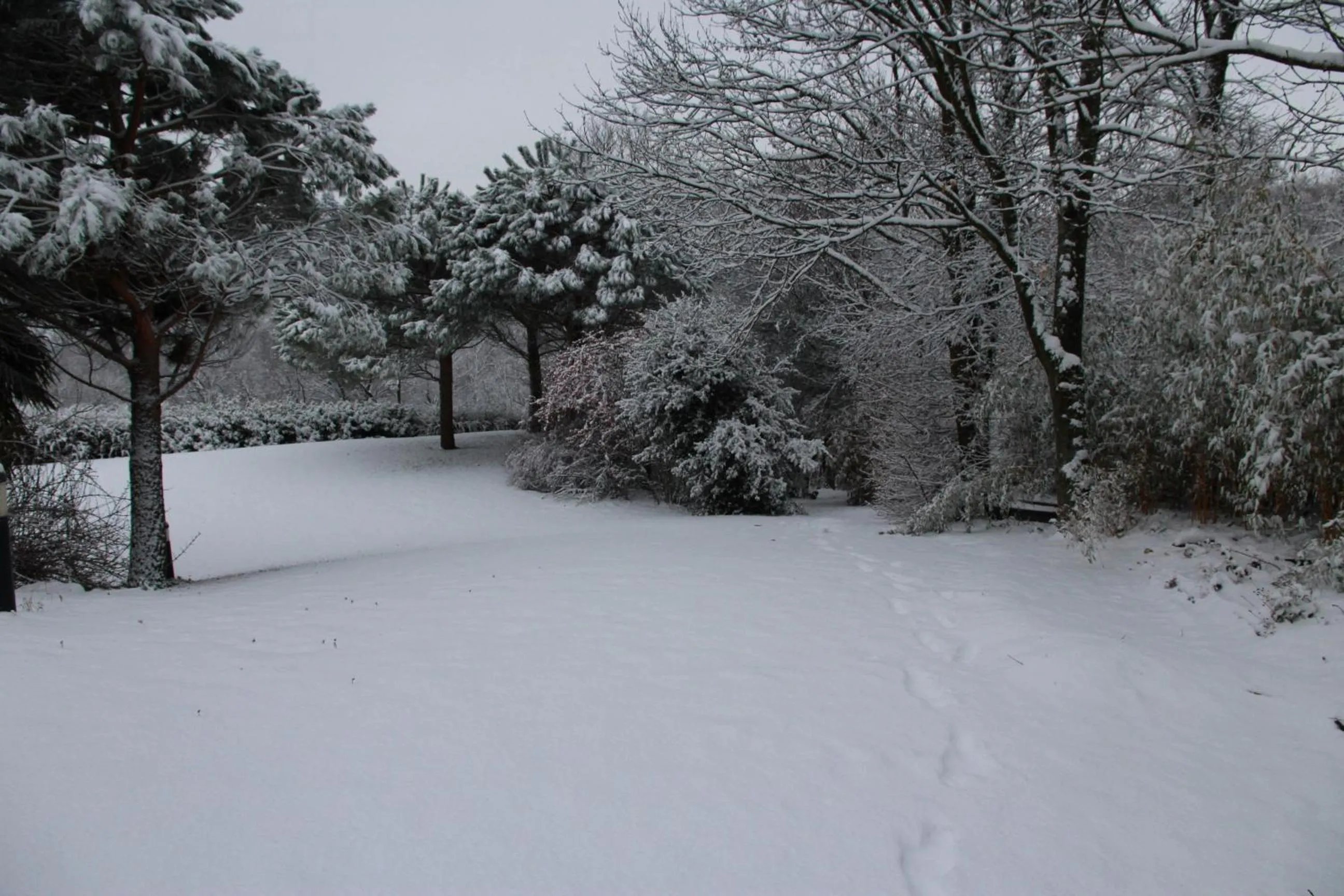 Garden view in Le Vallon de Saint André