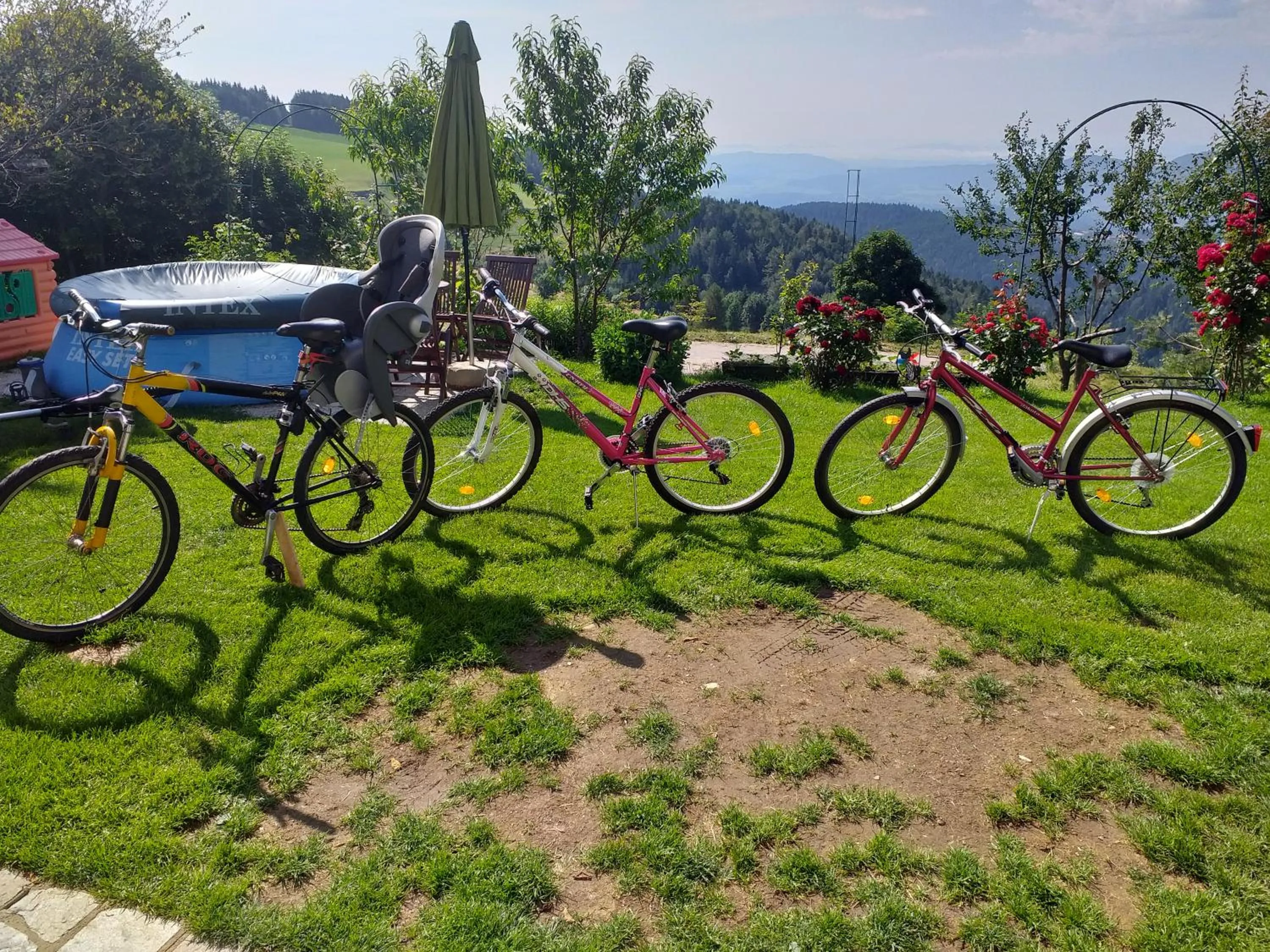 Cycling in Apartment Panorama
