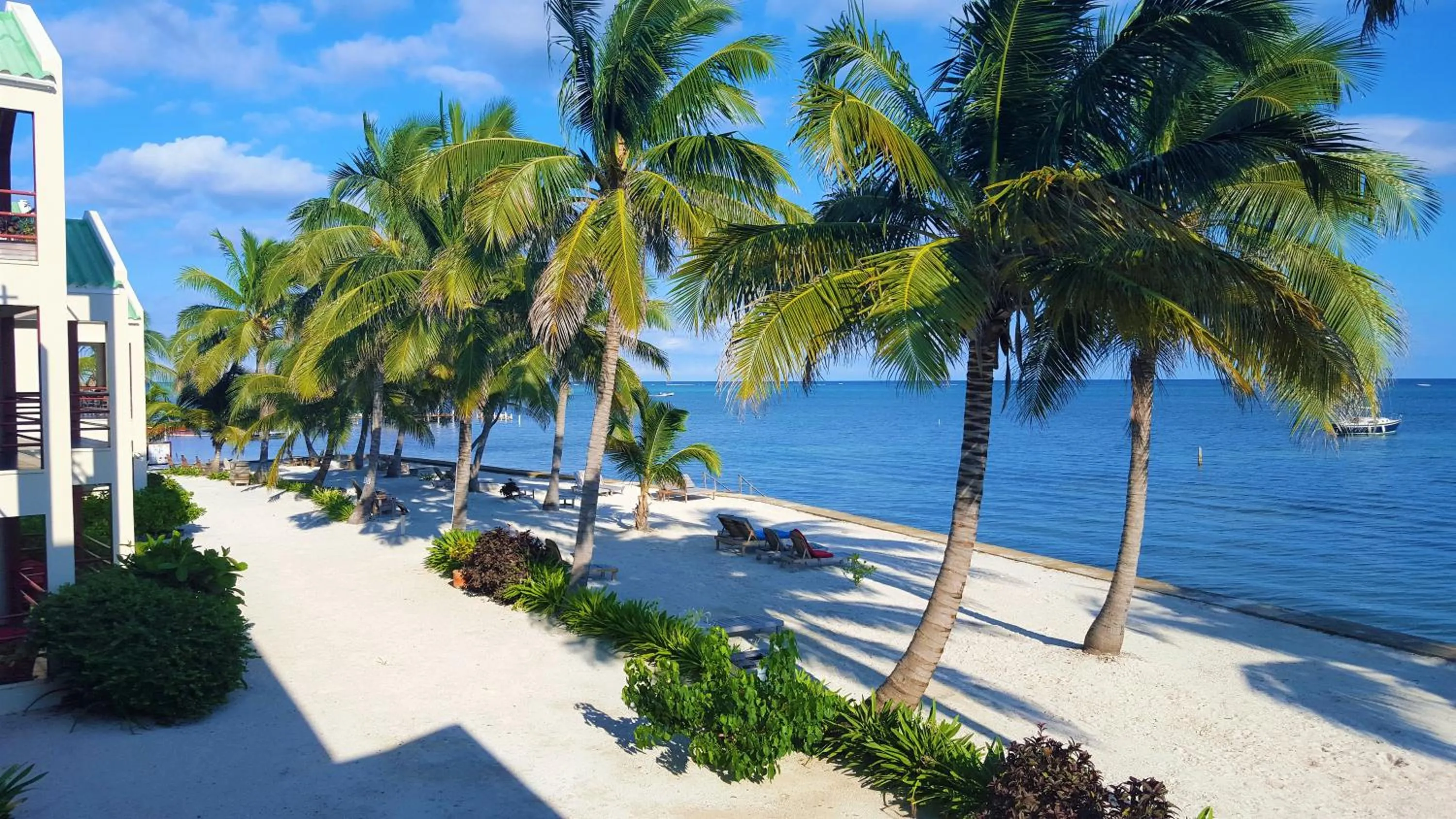 View (from property/room) in Tres Cocos Resort