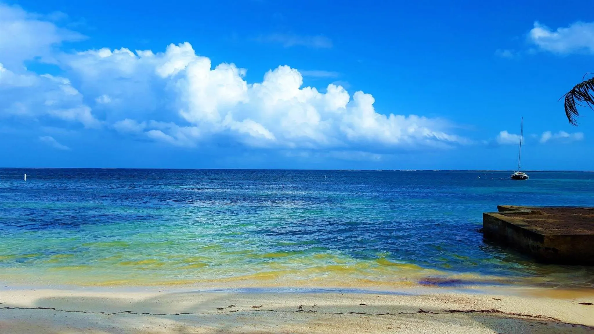 Natural landscape in Tres Cocos Resort