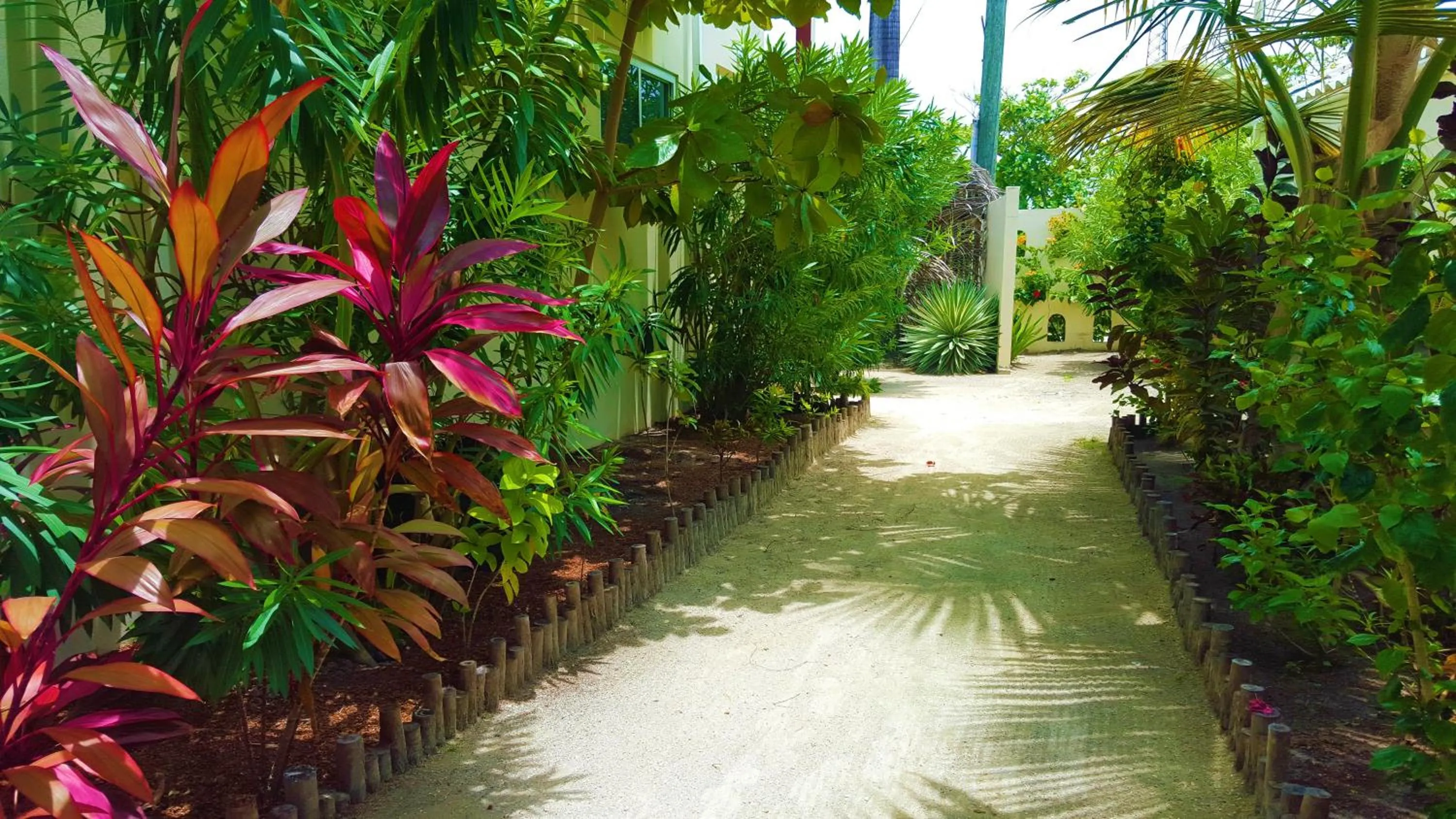 Garden in Tres Cocos Resort
