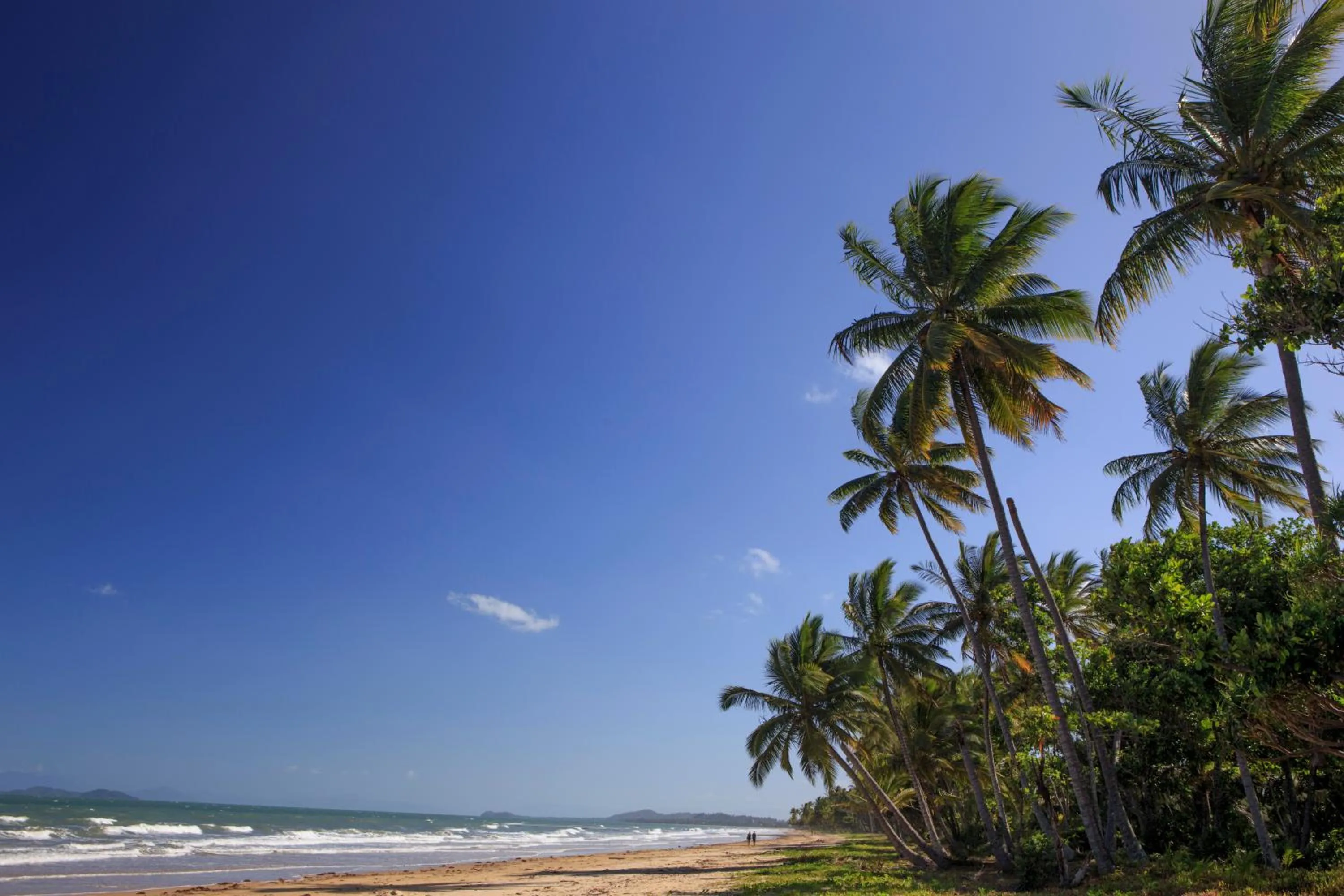 Natural landscape in Scotty's Mission Beach