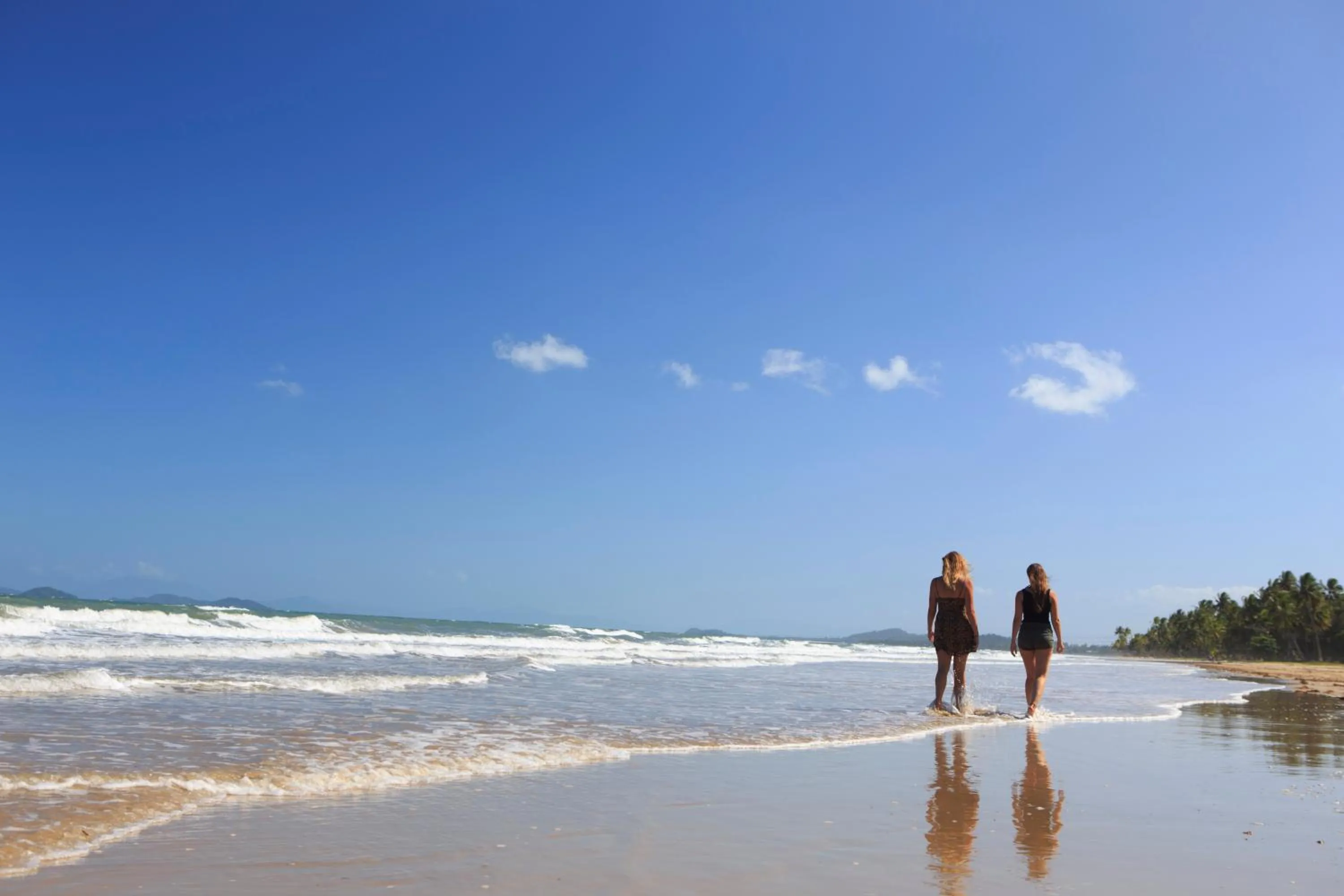 Natural landscape in Scotty's Mission Beach