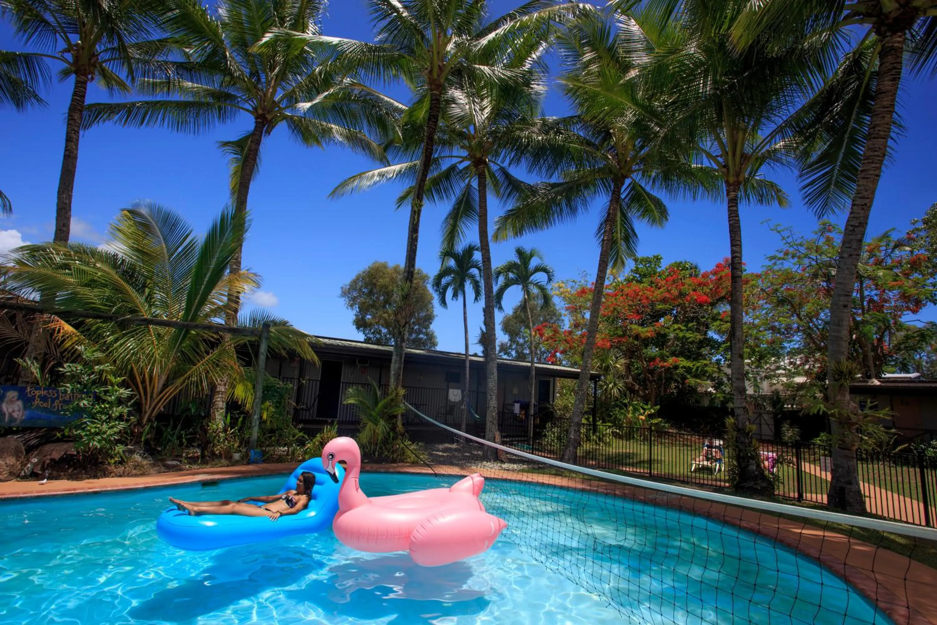 Swimming pool in Scotty's Mission Beach