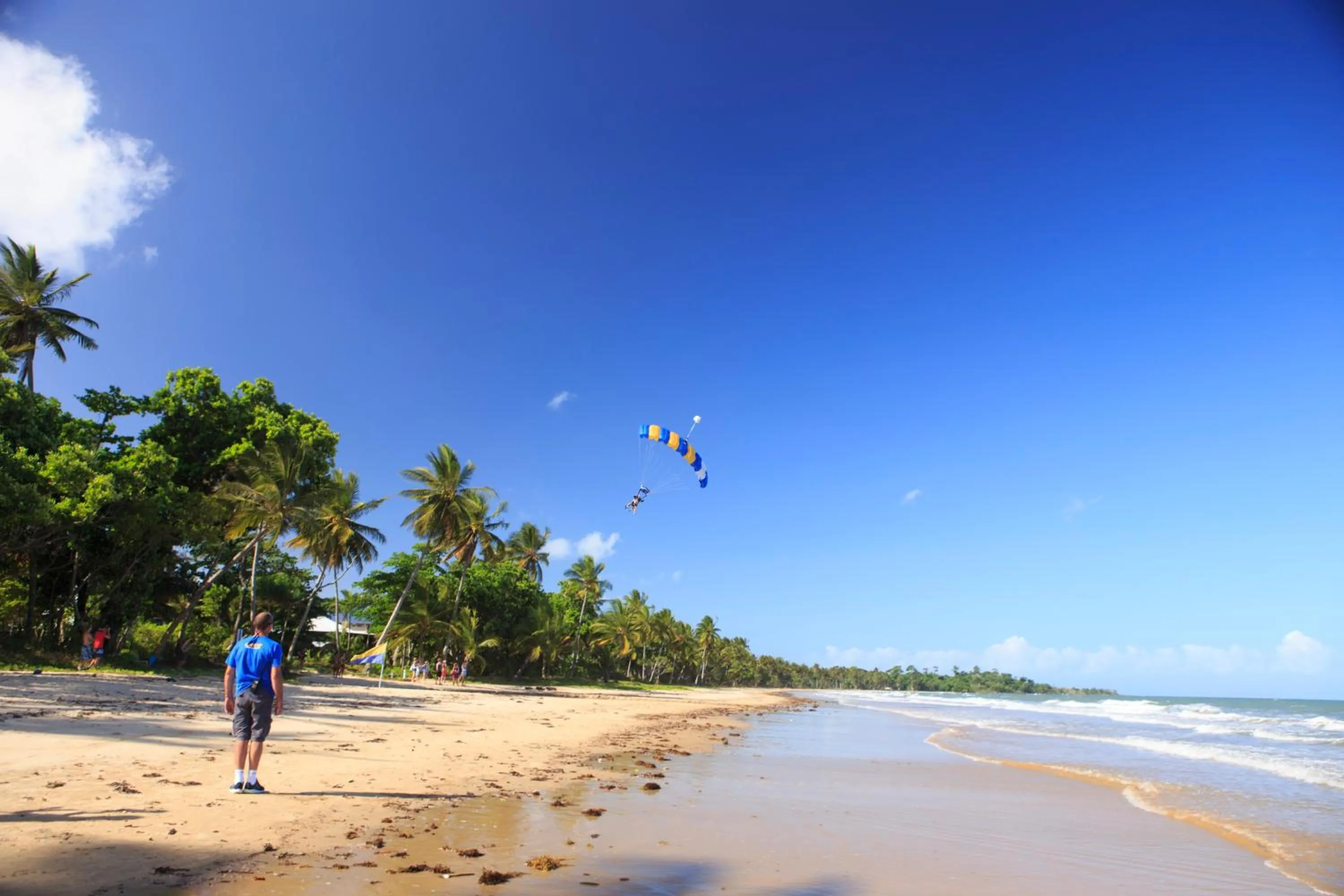 Natural landscape in Scotty's Mission Beach
