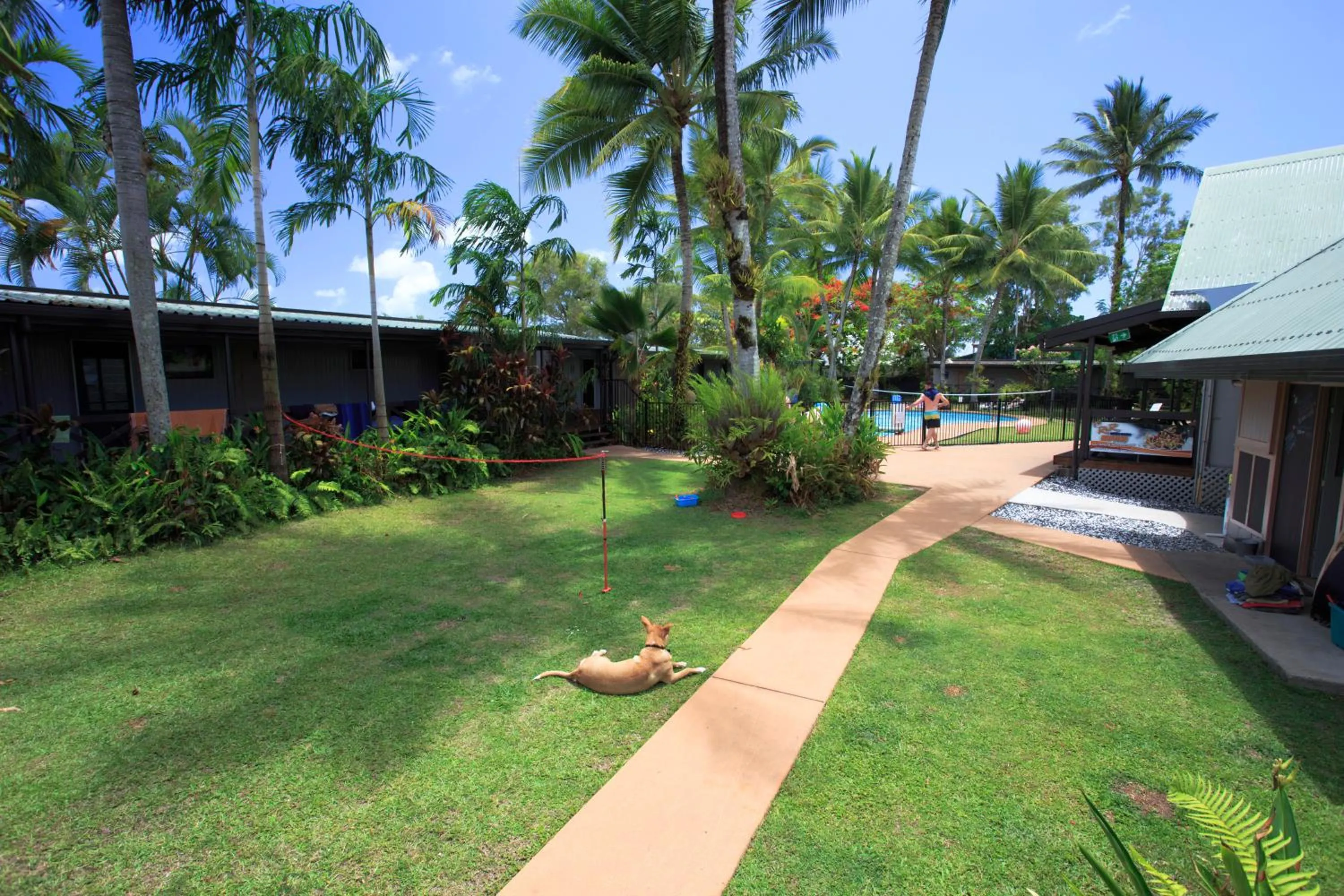 Garden in Scotty's Mission Beach