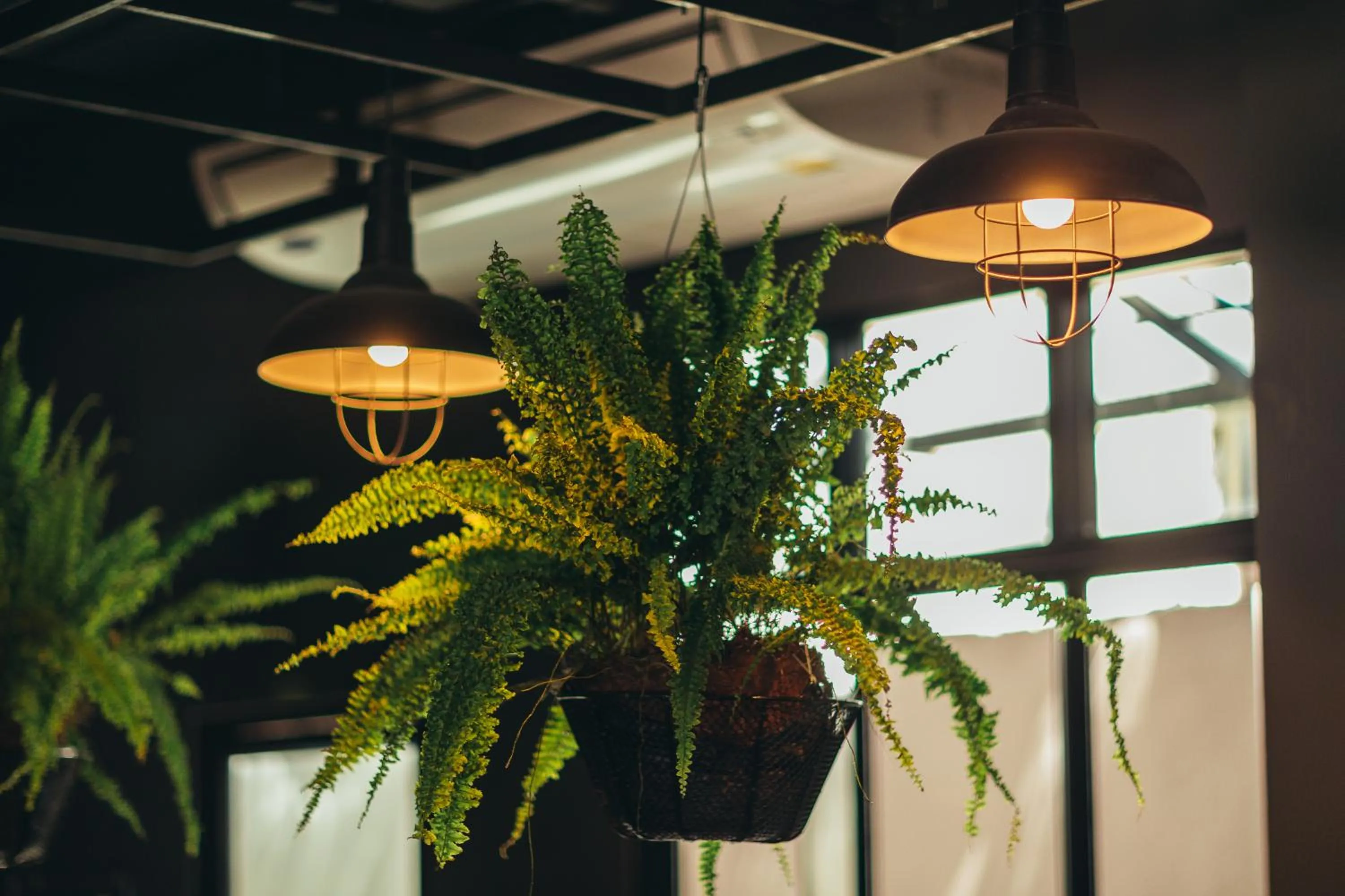 Area and facilities in Srisuksant Square