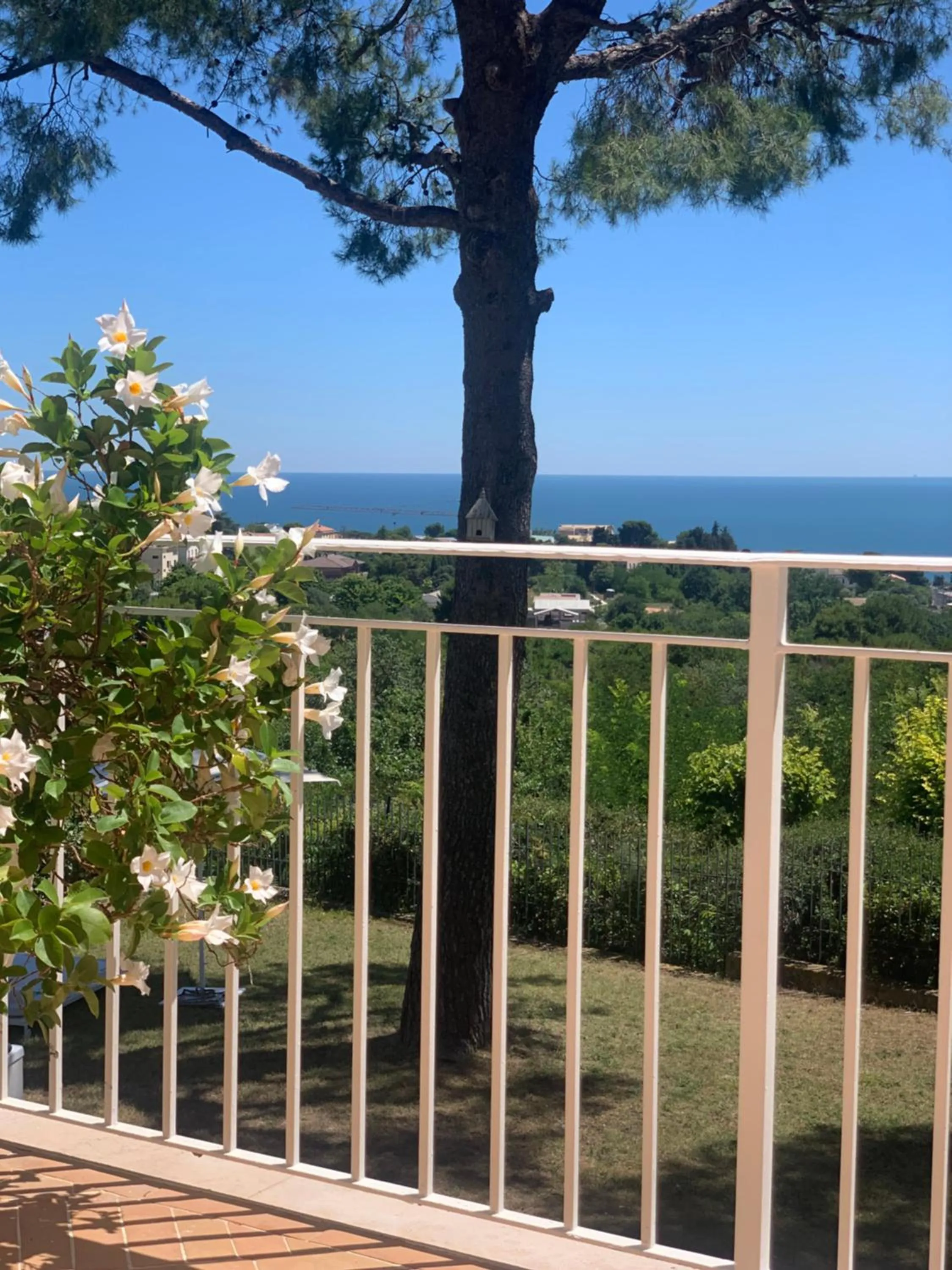 Balcony/Terrace in Tra gli Alberi e il Mare
