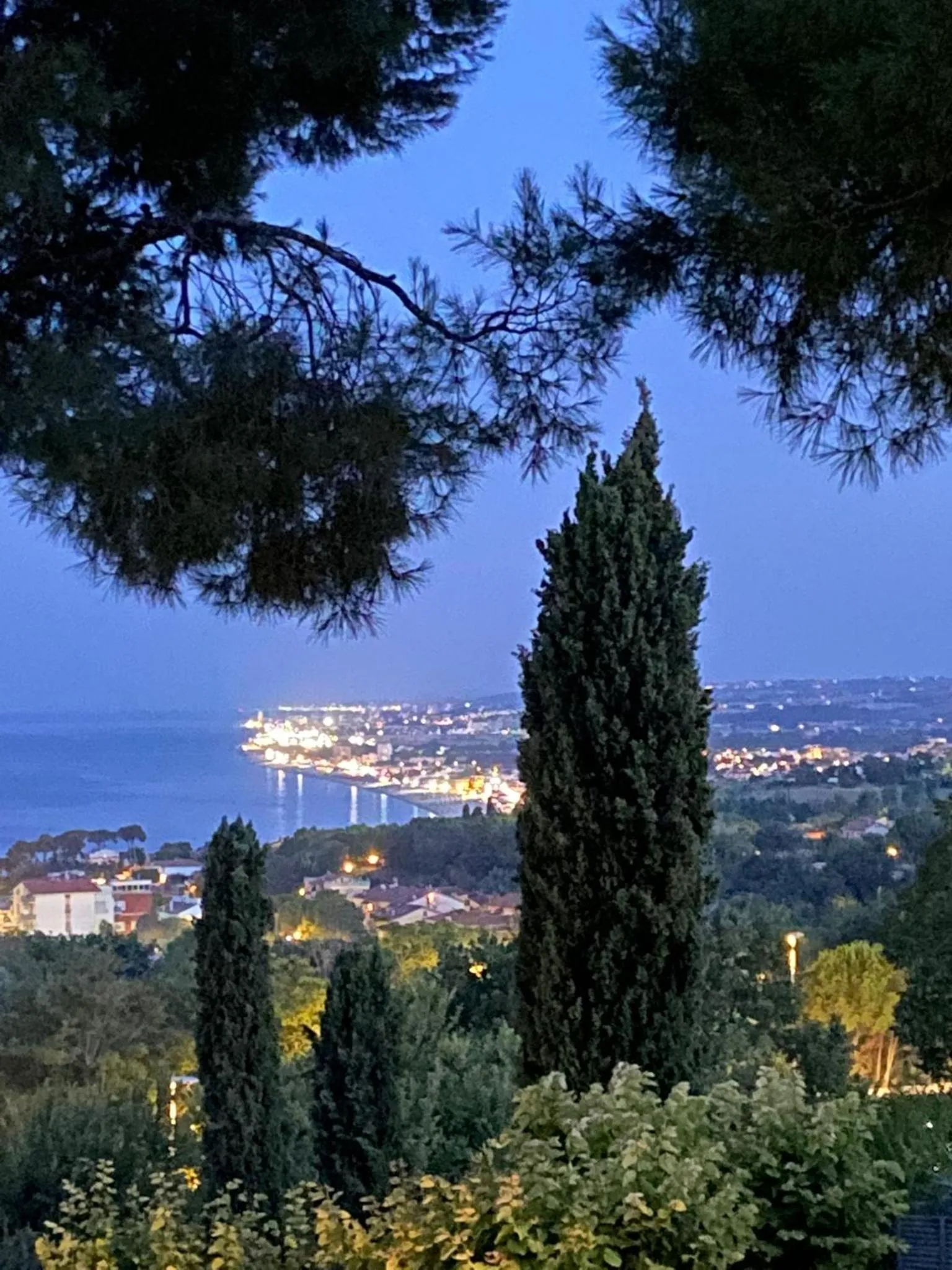 View (from property/room) in Tra gli Alberi e il Mare