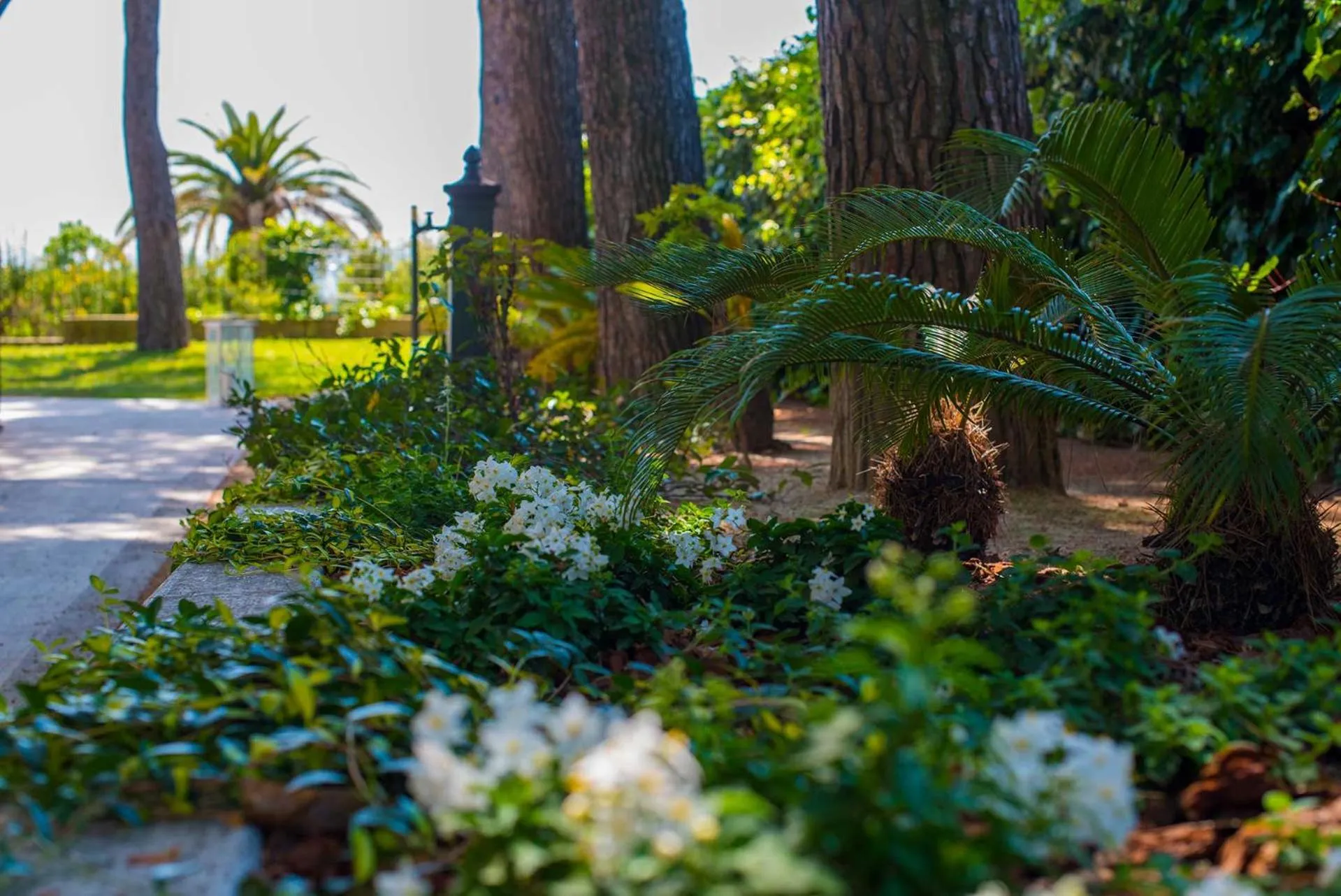Garden in Tra gli Alberi e il Mare