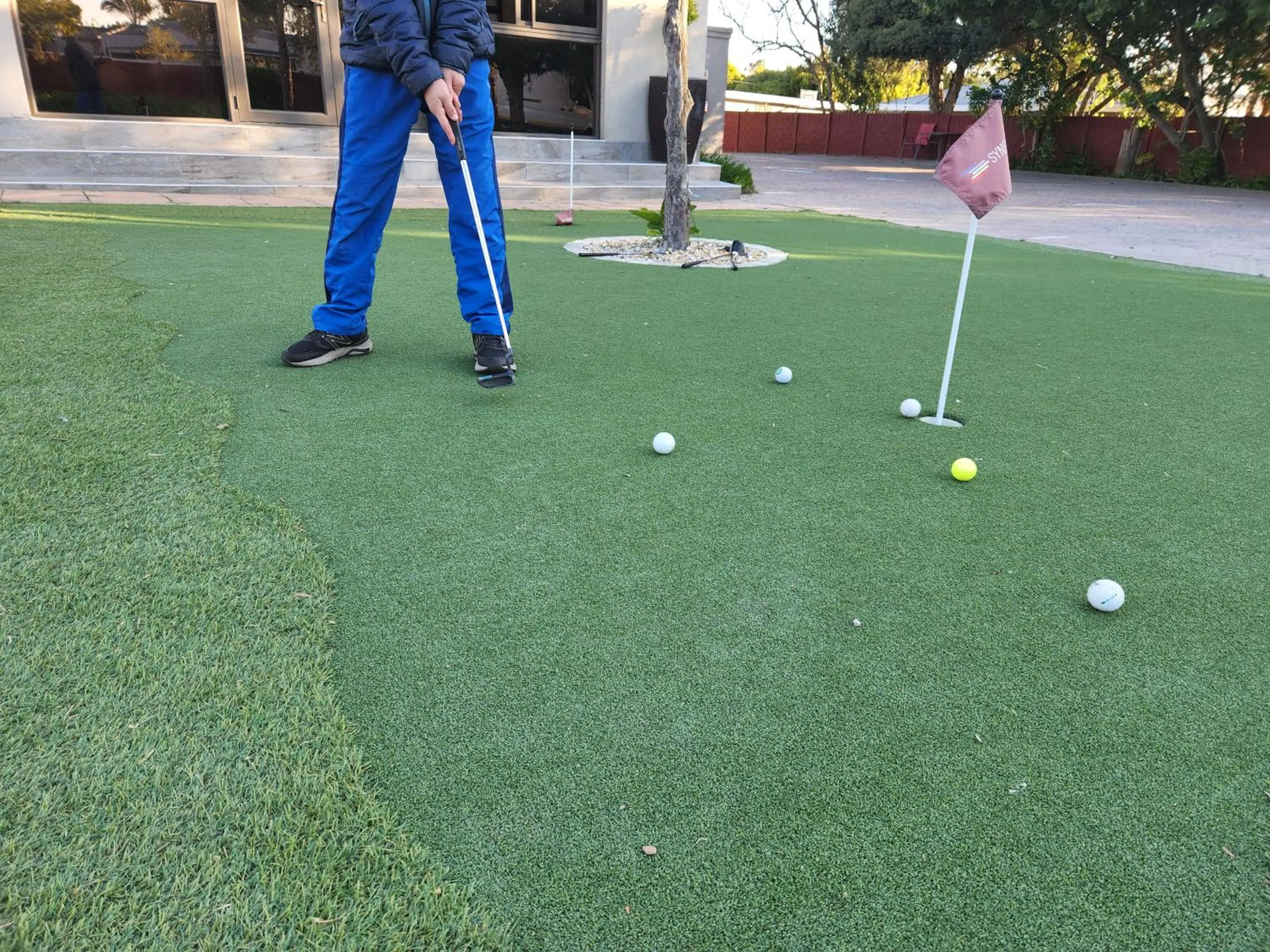 Garden in Dilisca Guesthouse